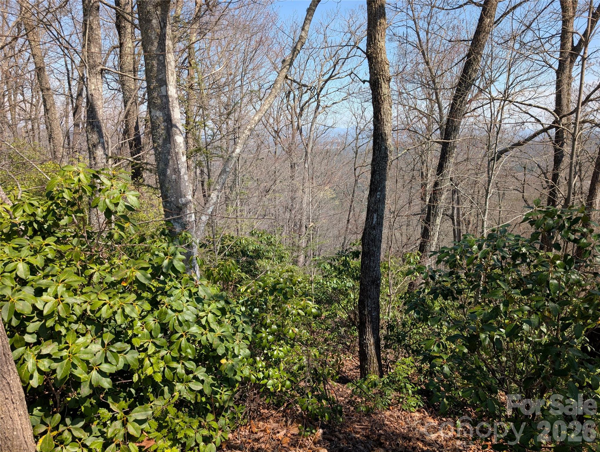 1094 Mills River Way Property Photo 6