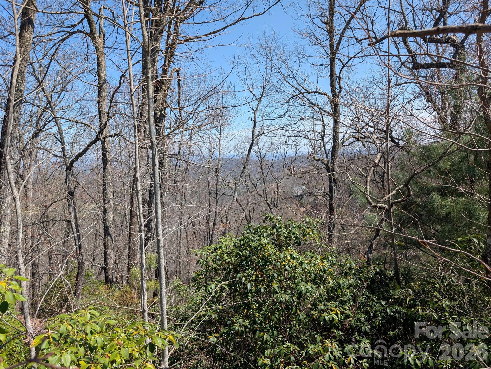 1094 Mills River Way Property Photo 8