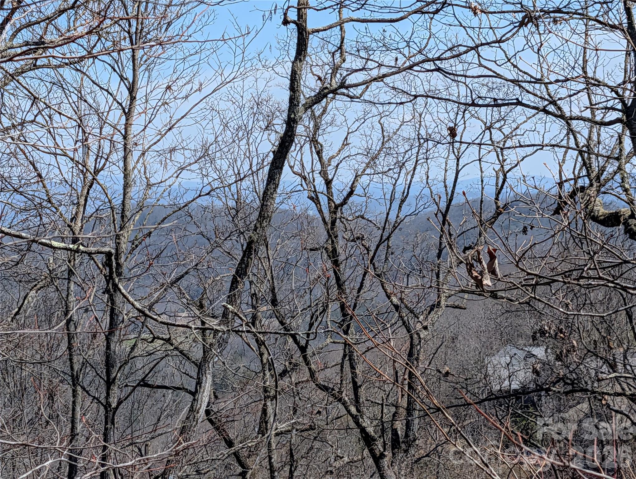 1094 Mills River Way Property Photo 9