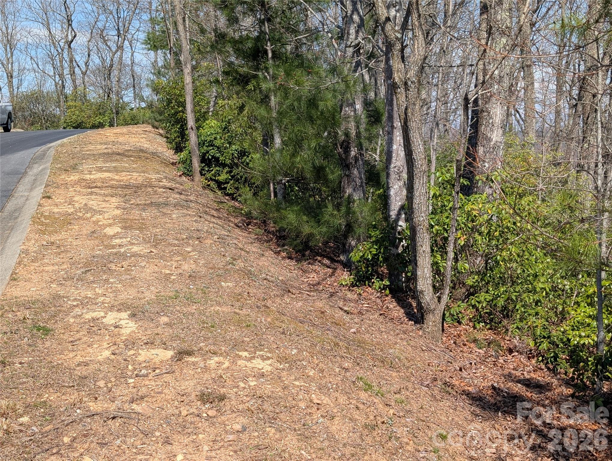 1094 Mills River Way Property Photo 12