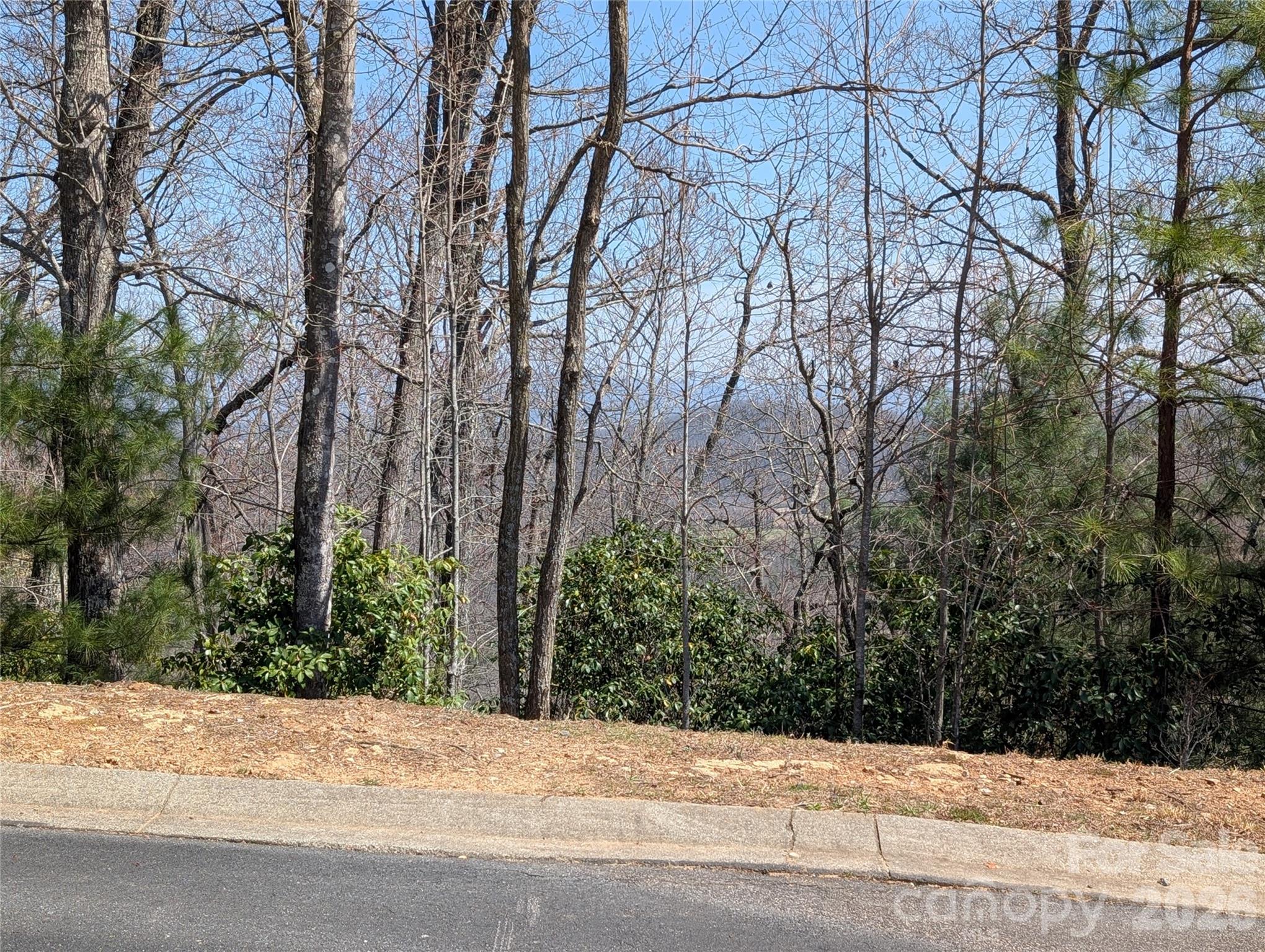1094 Mills River Way Property Photo 13