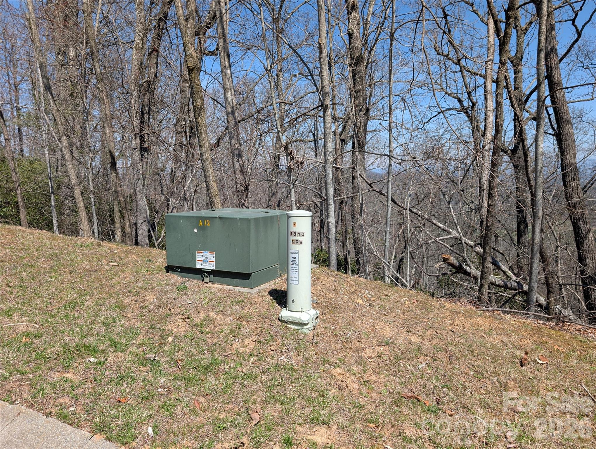 1094 Mills River Way Property Photo 14