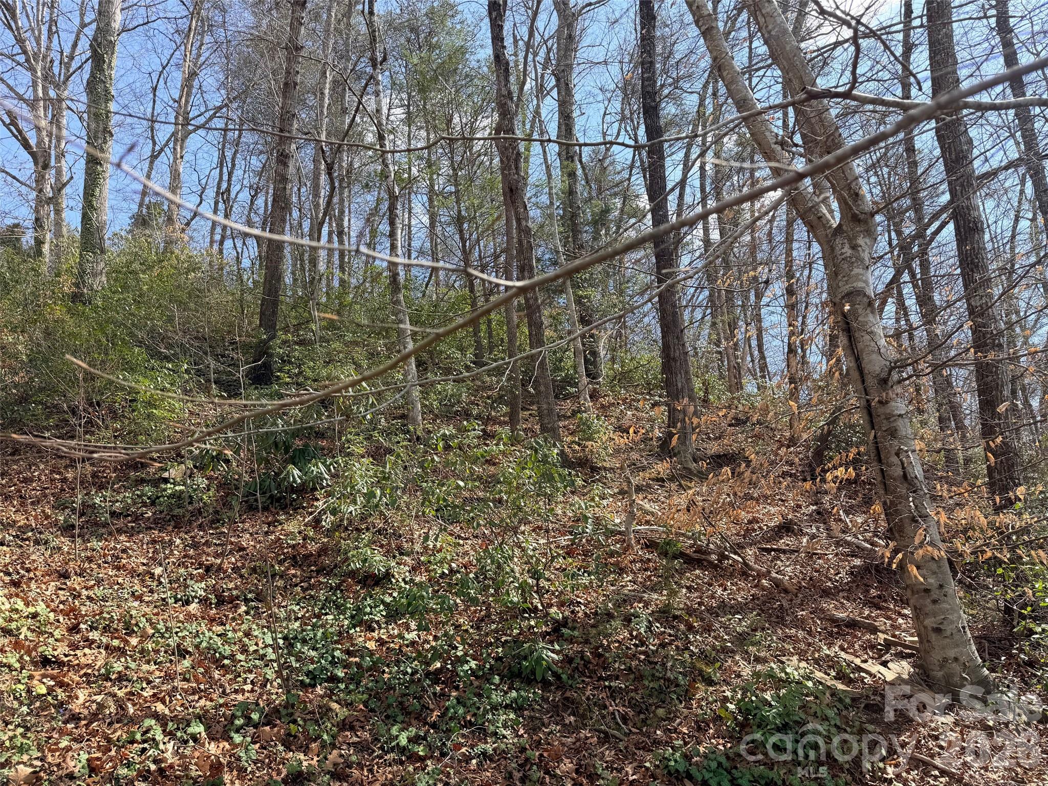 0000 Buffalo Creek Road Property Photo 10