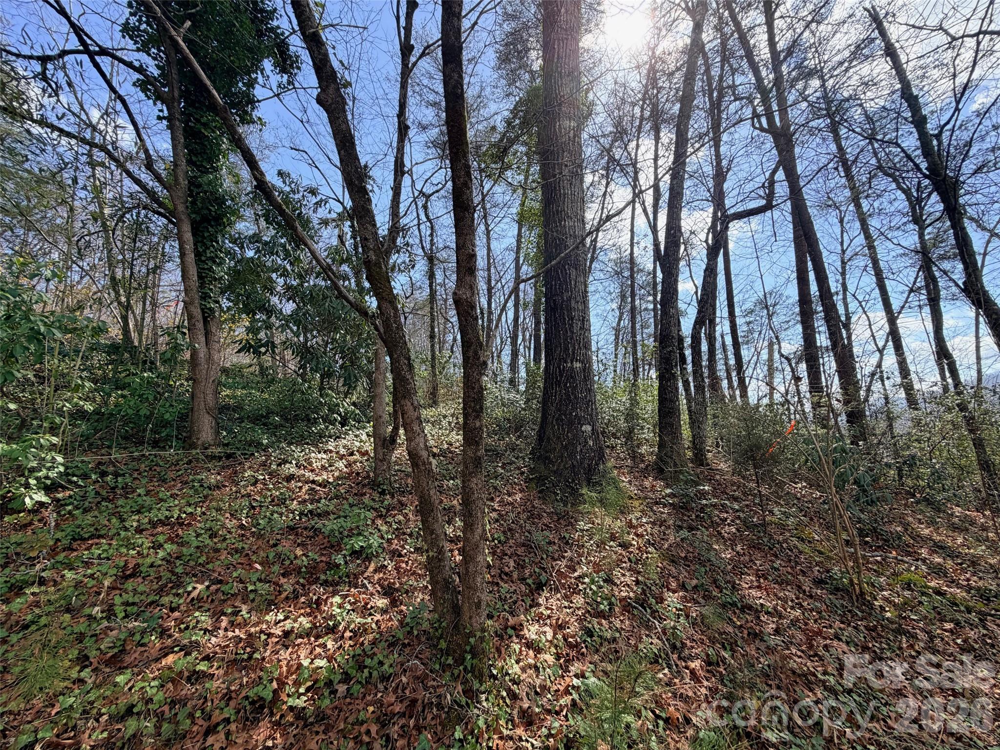 0000 Buffalo Creek Road Property Photo 12