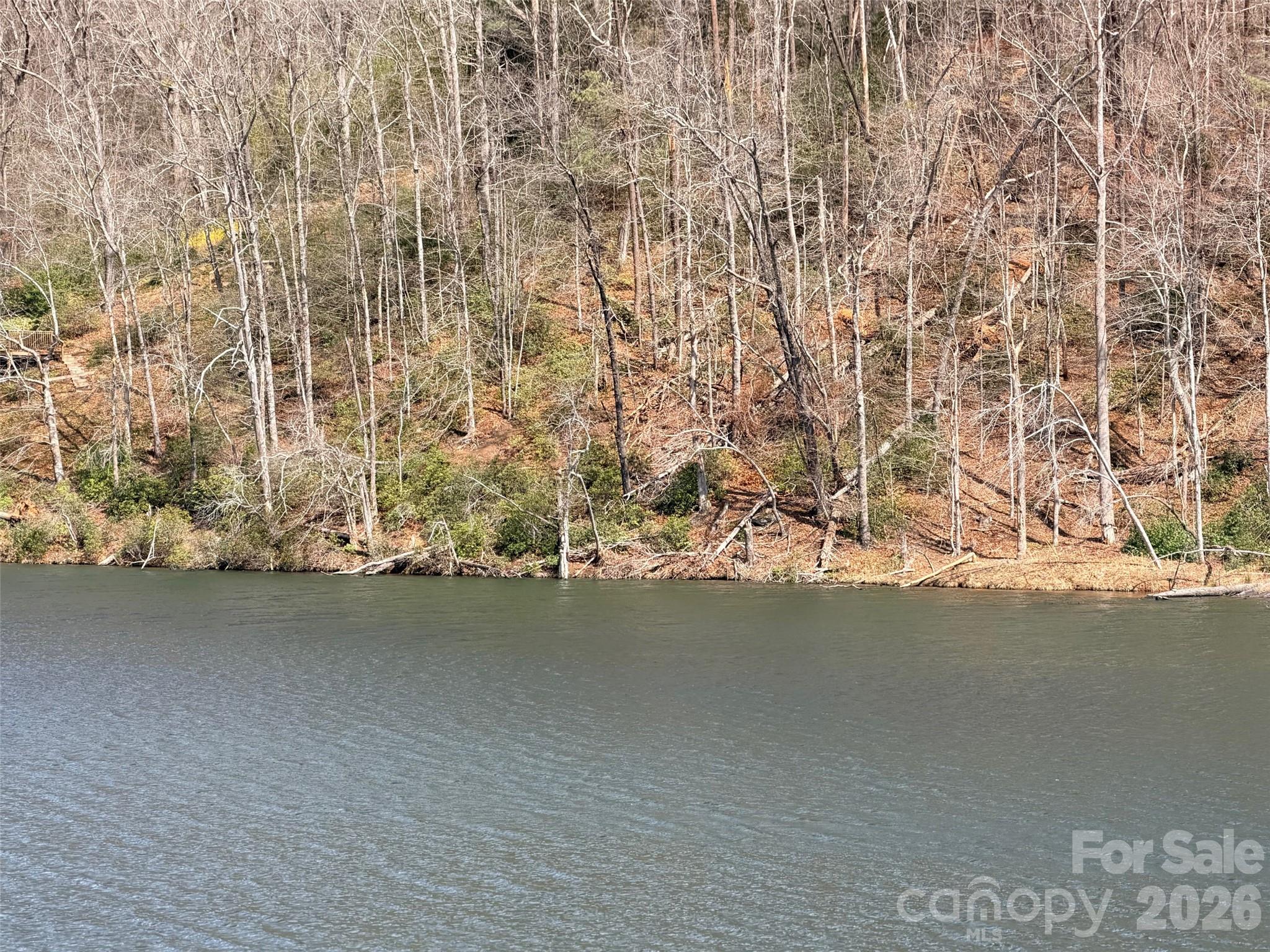 0000 Buffalo Creek Road Property Photo 15