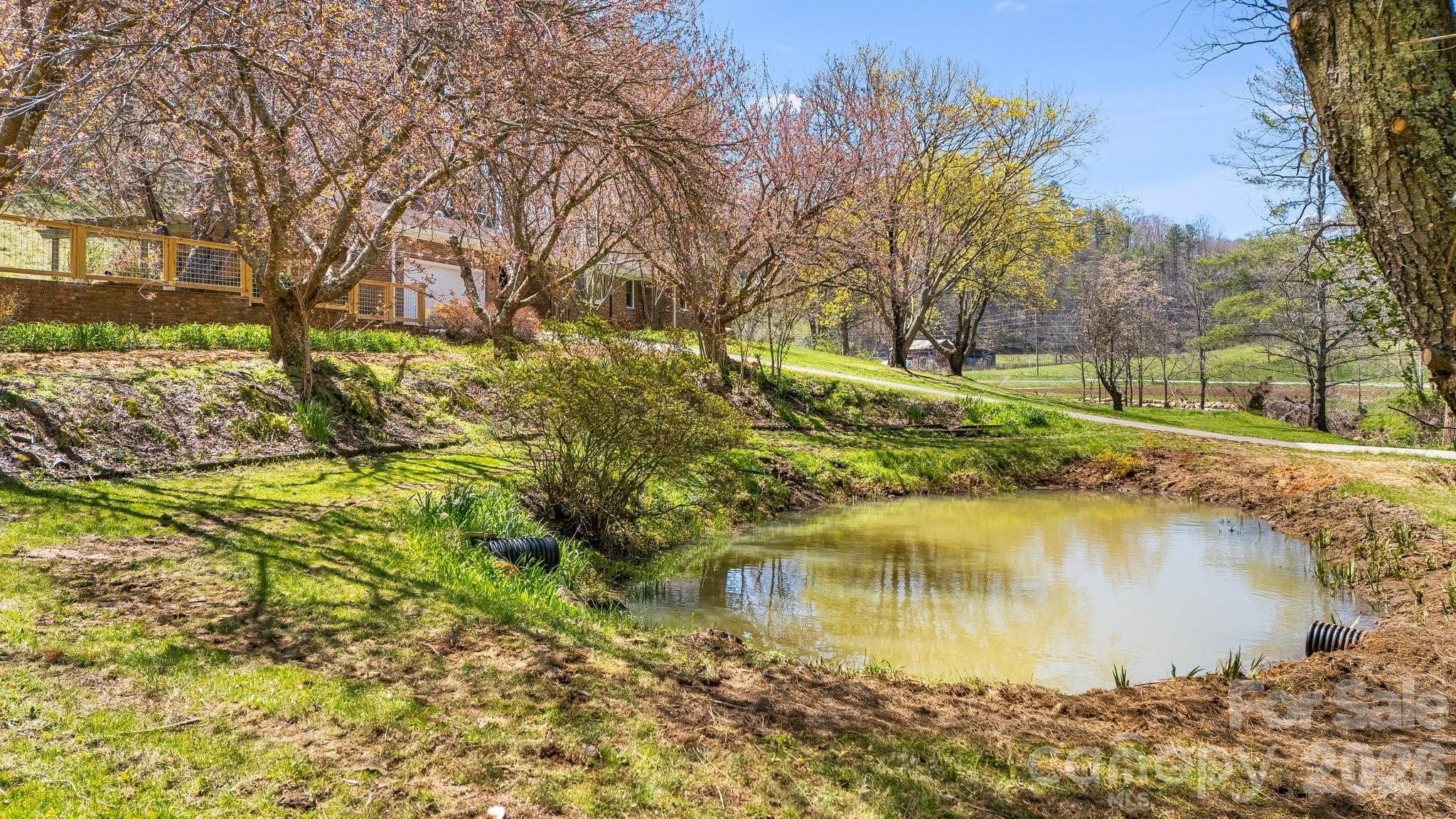 6334 Jacks Creek Road Property Photo 38