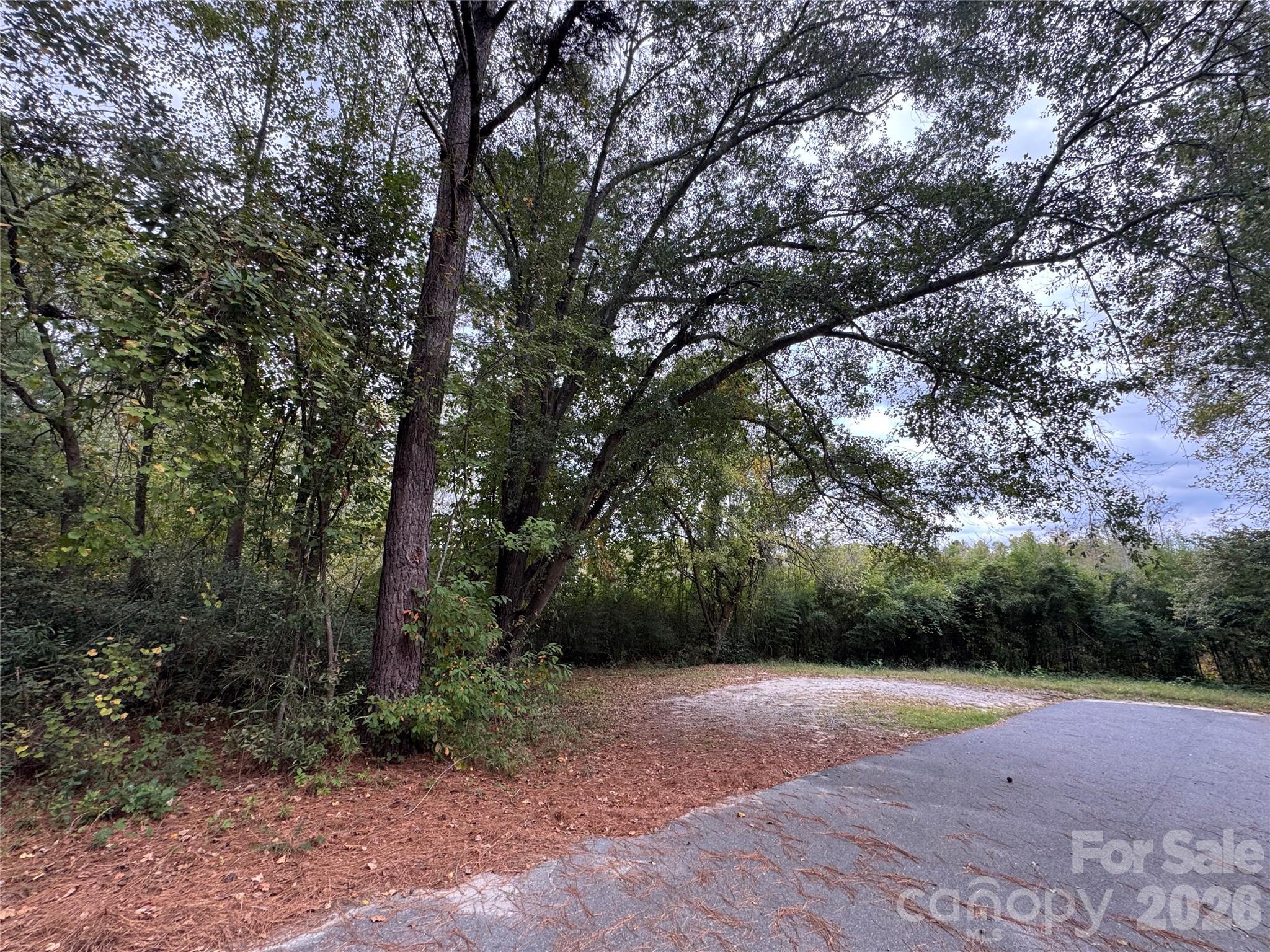00 Ellen Drive Property Photo 1