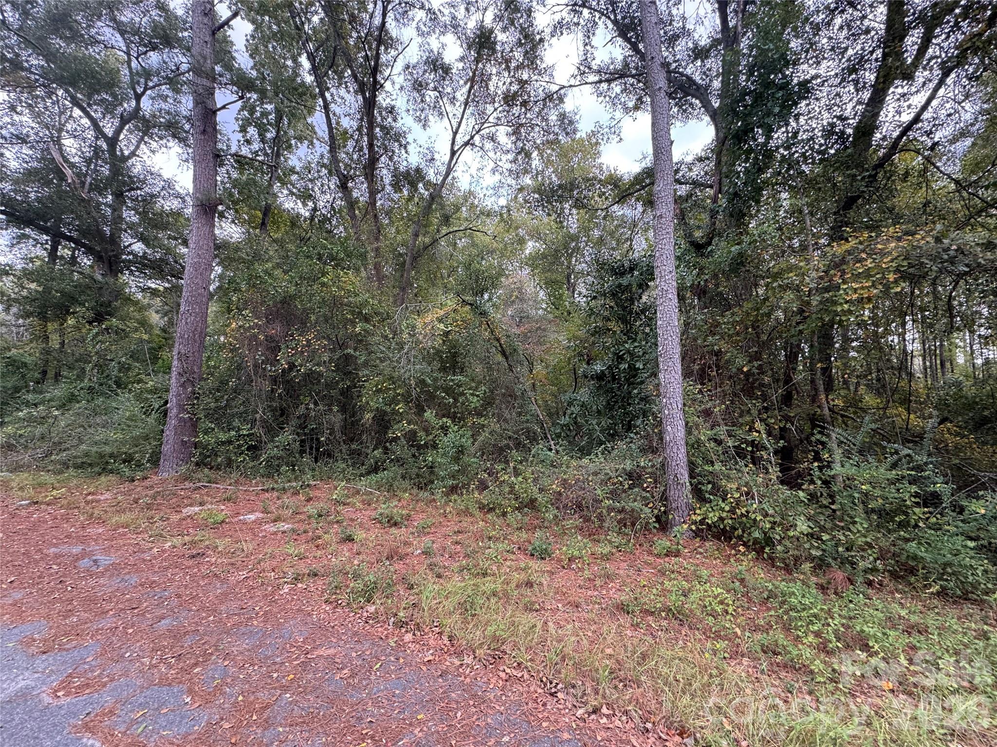 00 Ellen Drive Property Photo 3