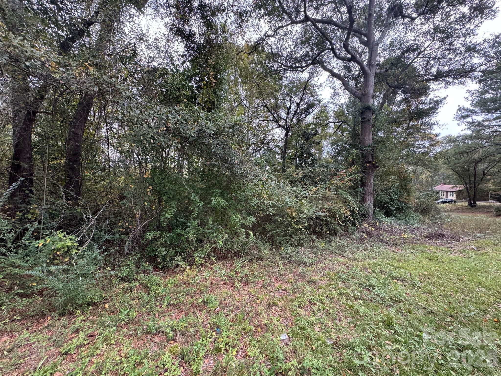 00 Ellen Drive Property Photo 4