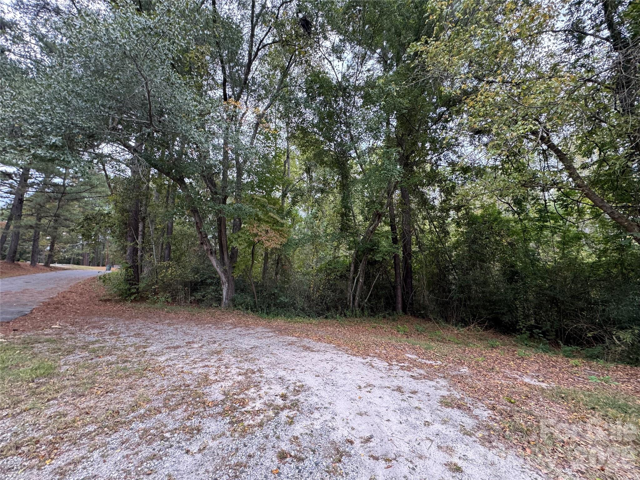 00 Ellen Drive Property Photo 6