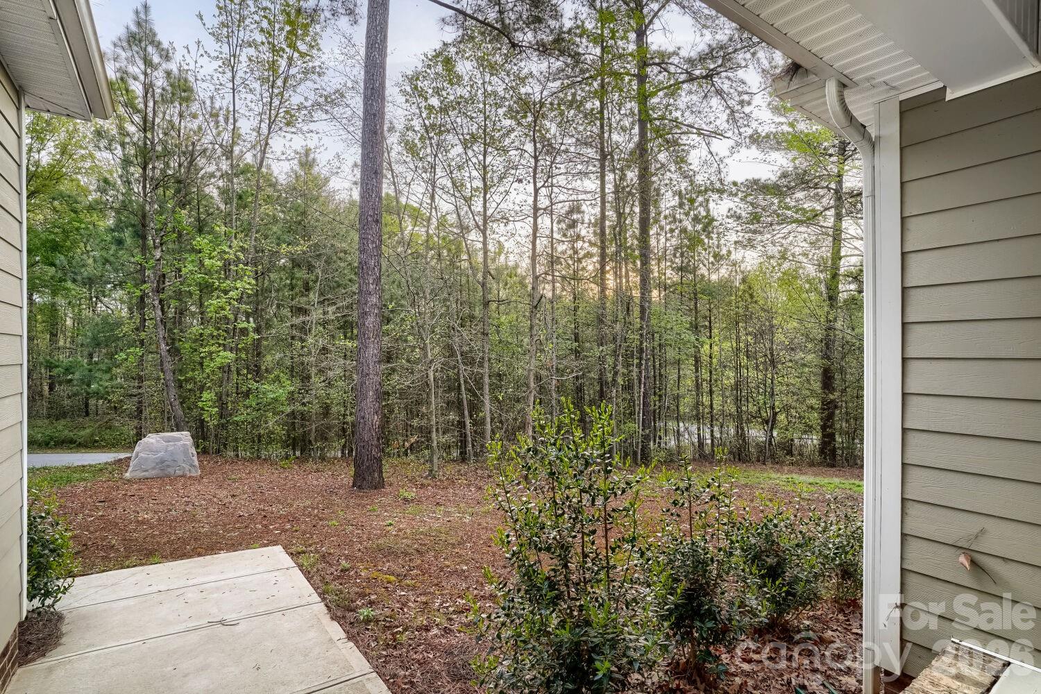 1333 Ron Whicker Drive Property Photo 4