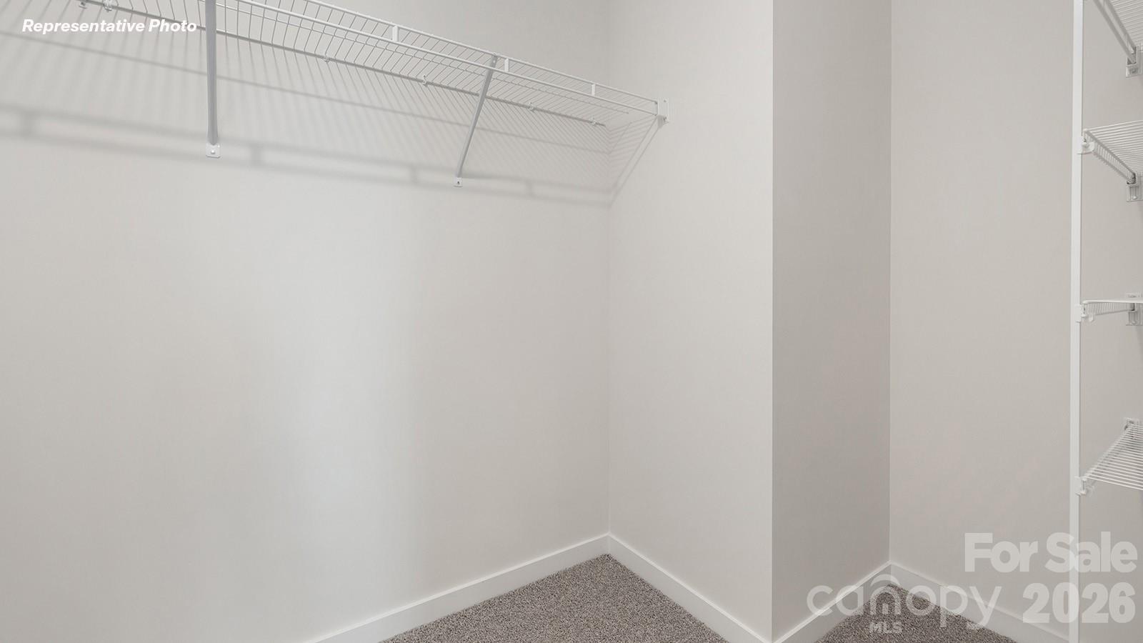 239 Superstar Street Property Photo 19