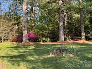 121 Churchill Downs Drive Property Photo 34
