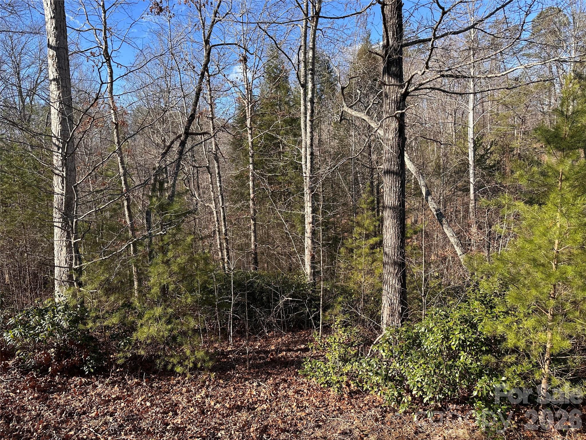 0 Rock Ledge Drive Property Photo 1