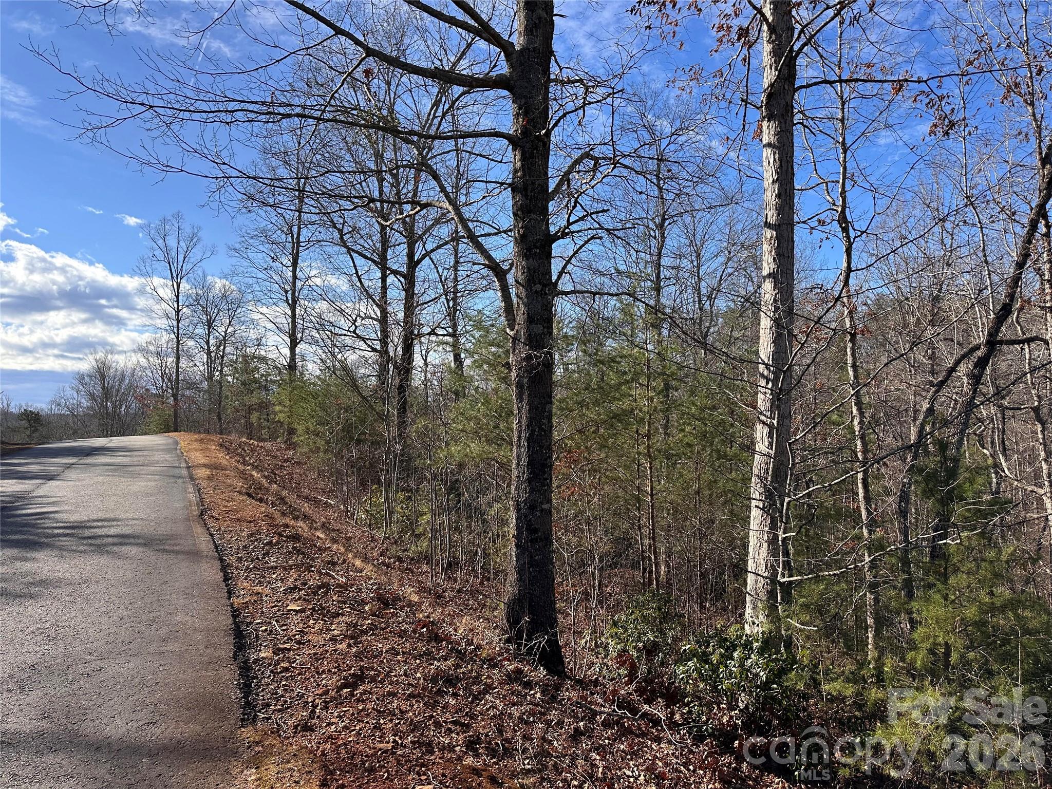 0 Rock Ledge Drive Property Photo 2