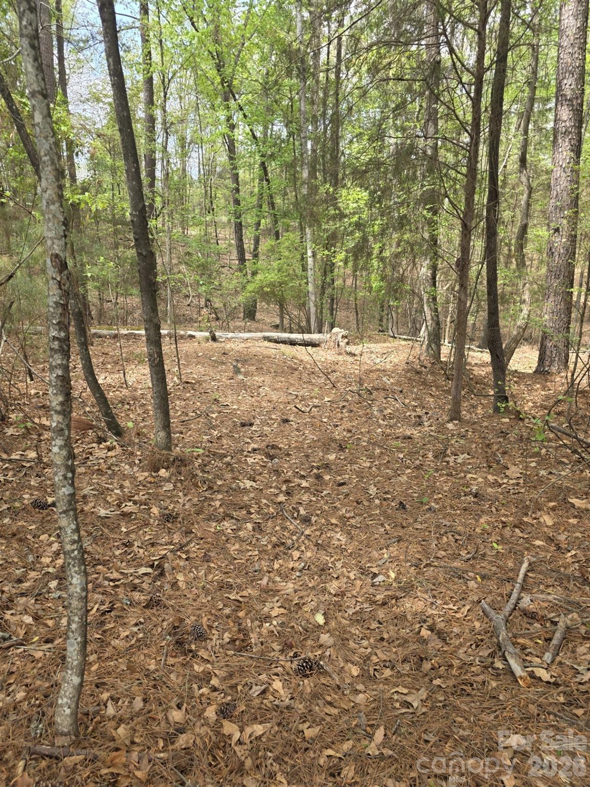 2093 Lometa Road Property Photo 2