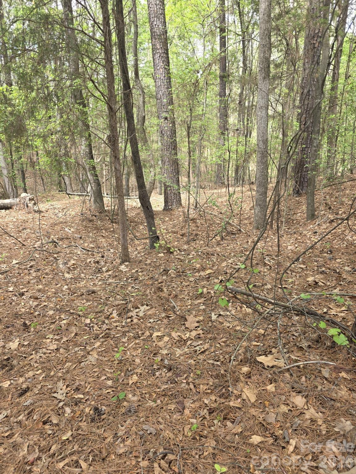 2093 Lometa Road Property Photo 3