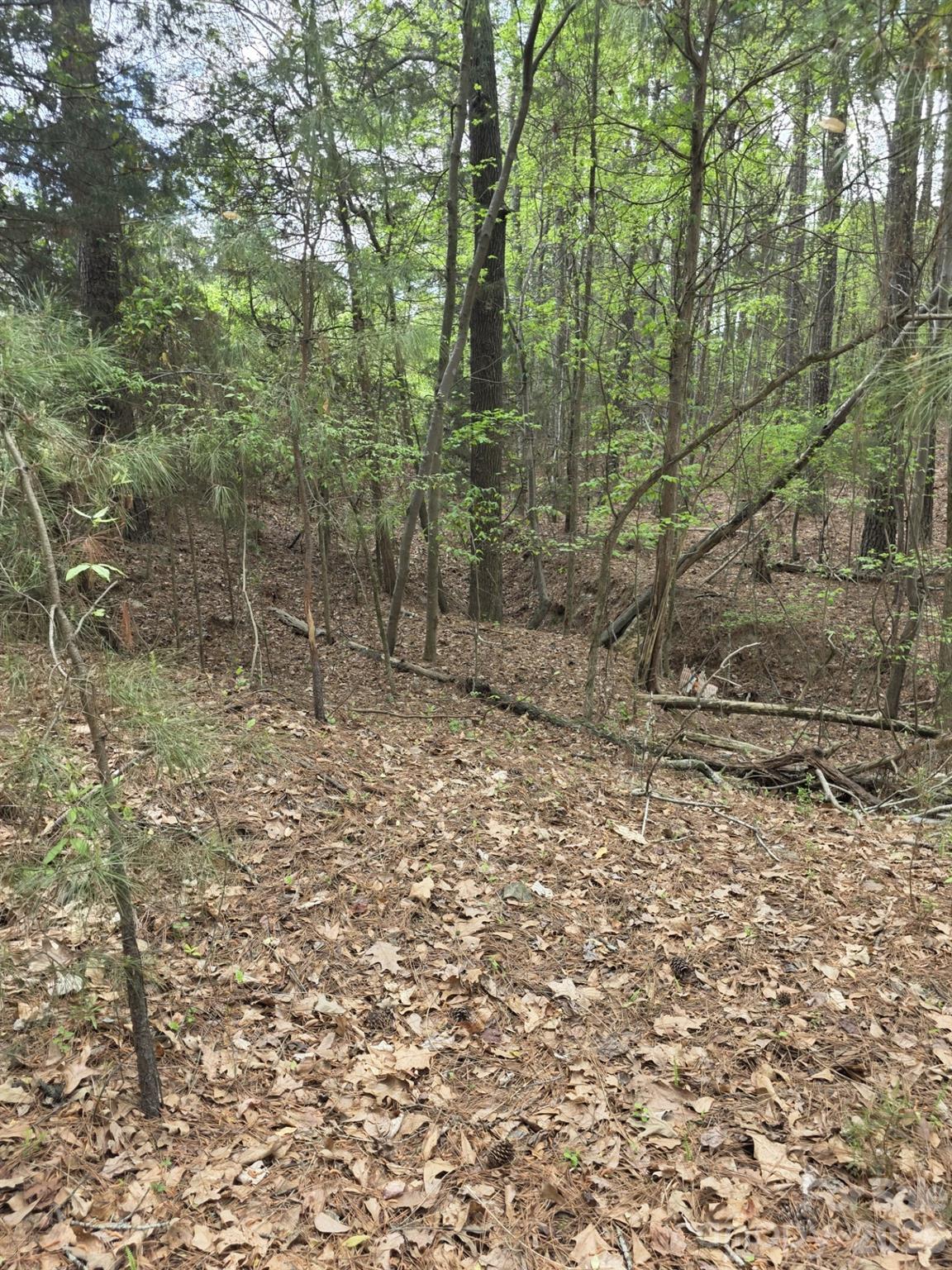 2093 Lometa Road Property Photo 4