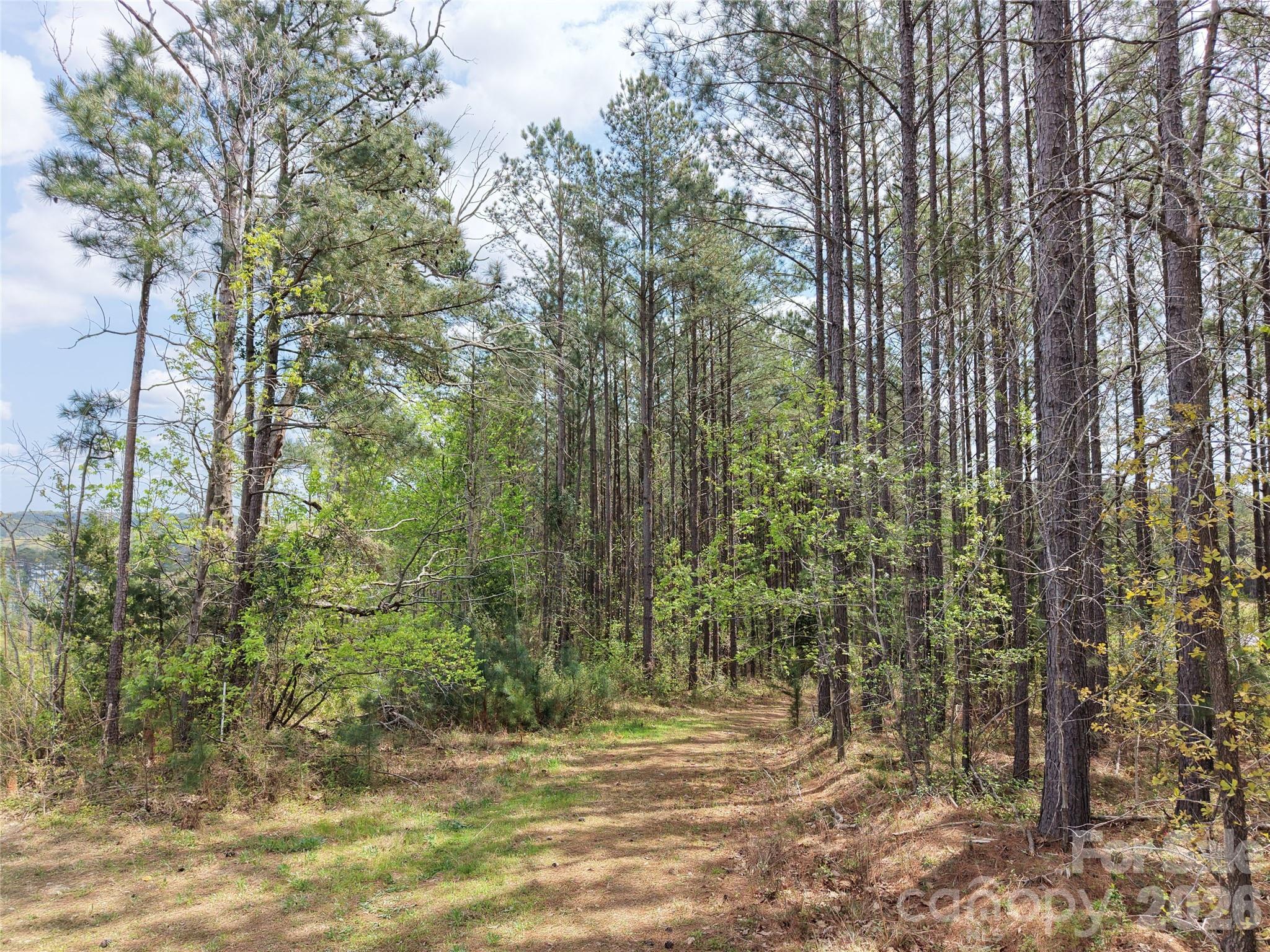 Tbd Spencer Pointe Road Property Photo 11