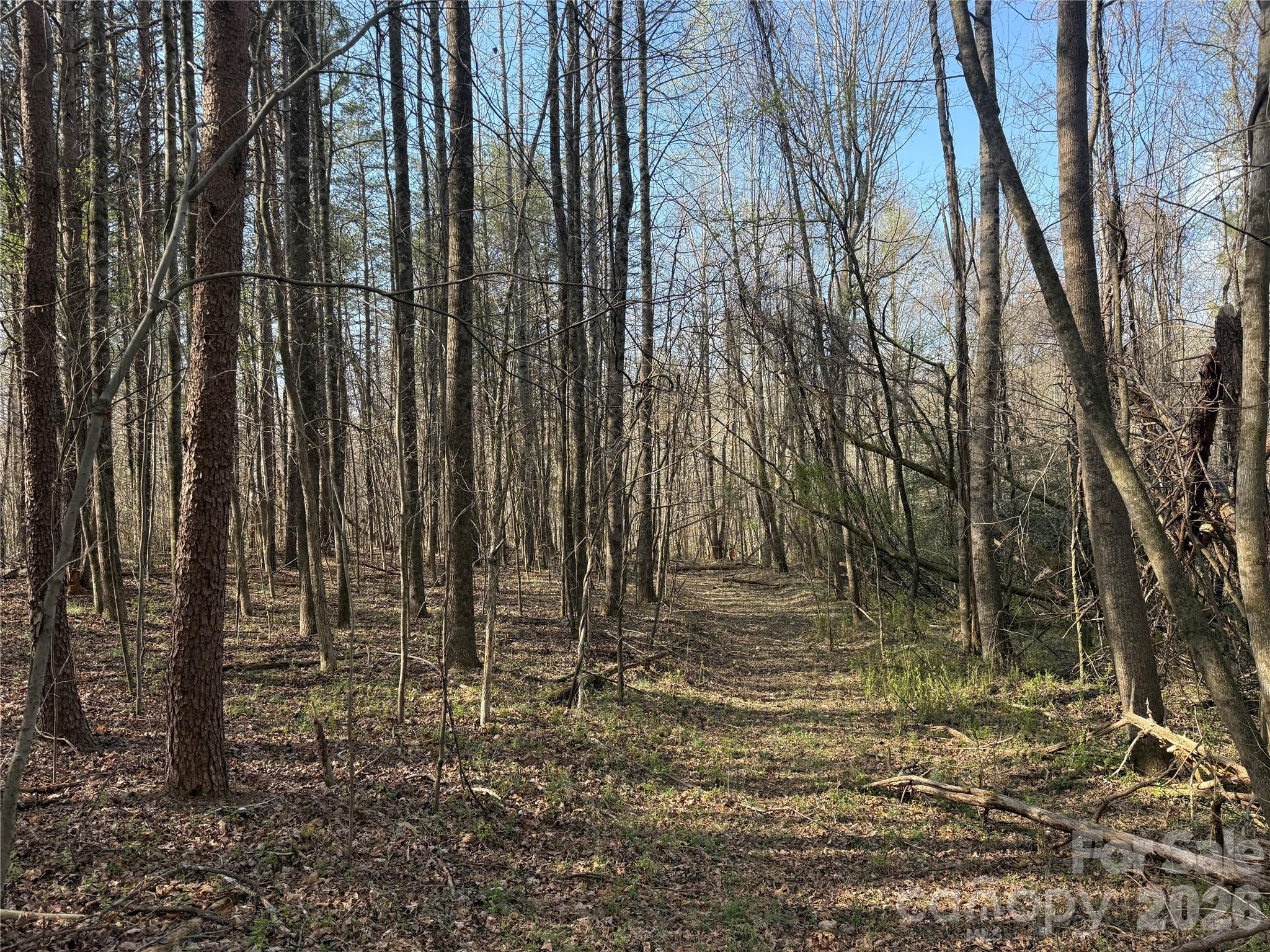 1164 Robert C Kellam Road Property Photo 15