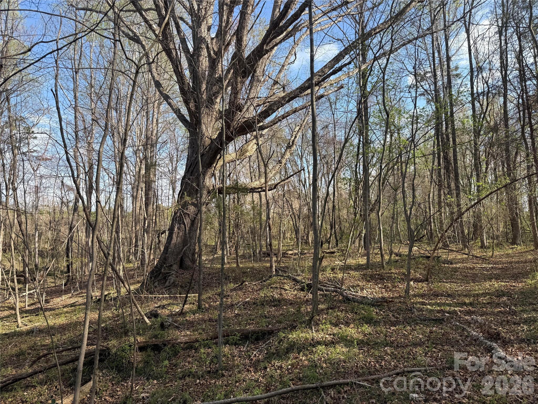 1164 Robert C Kellam Road Property Photo 16