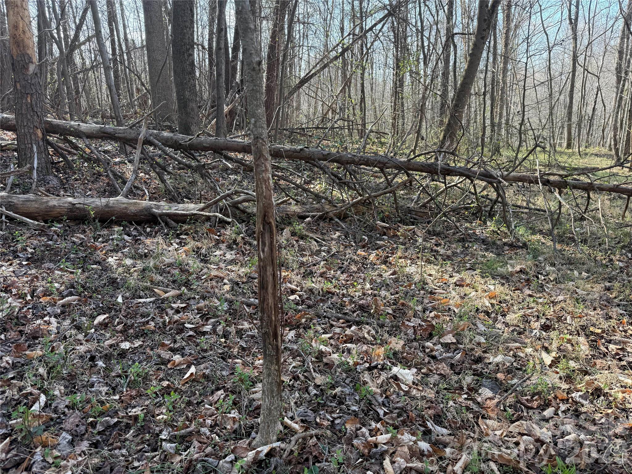 1164 Robert C Kellam Road Property Photo 17