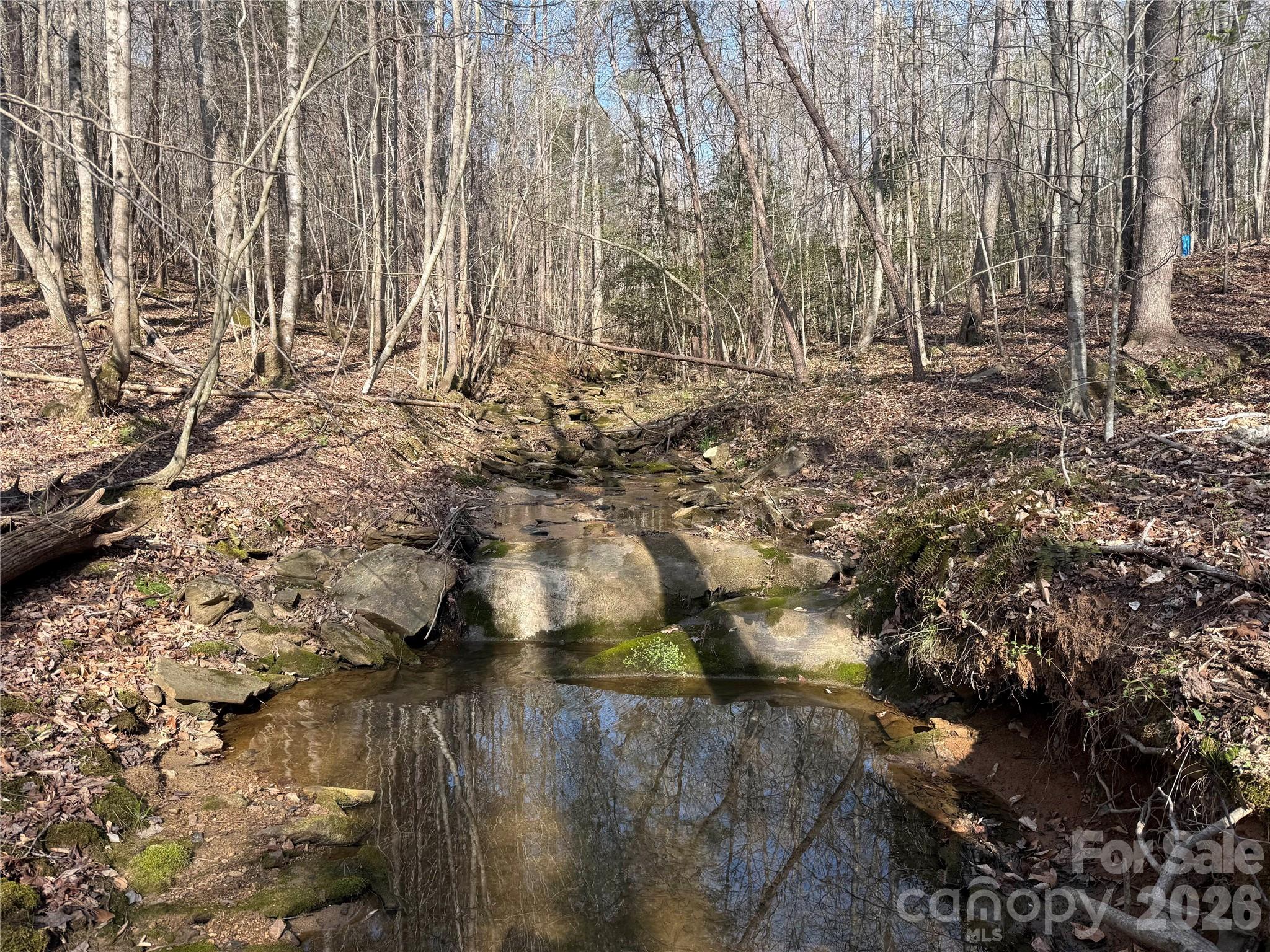 1164 Robert C Kellam Road Property Photo 18