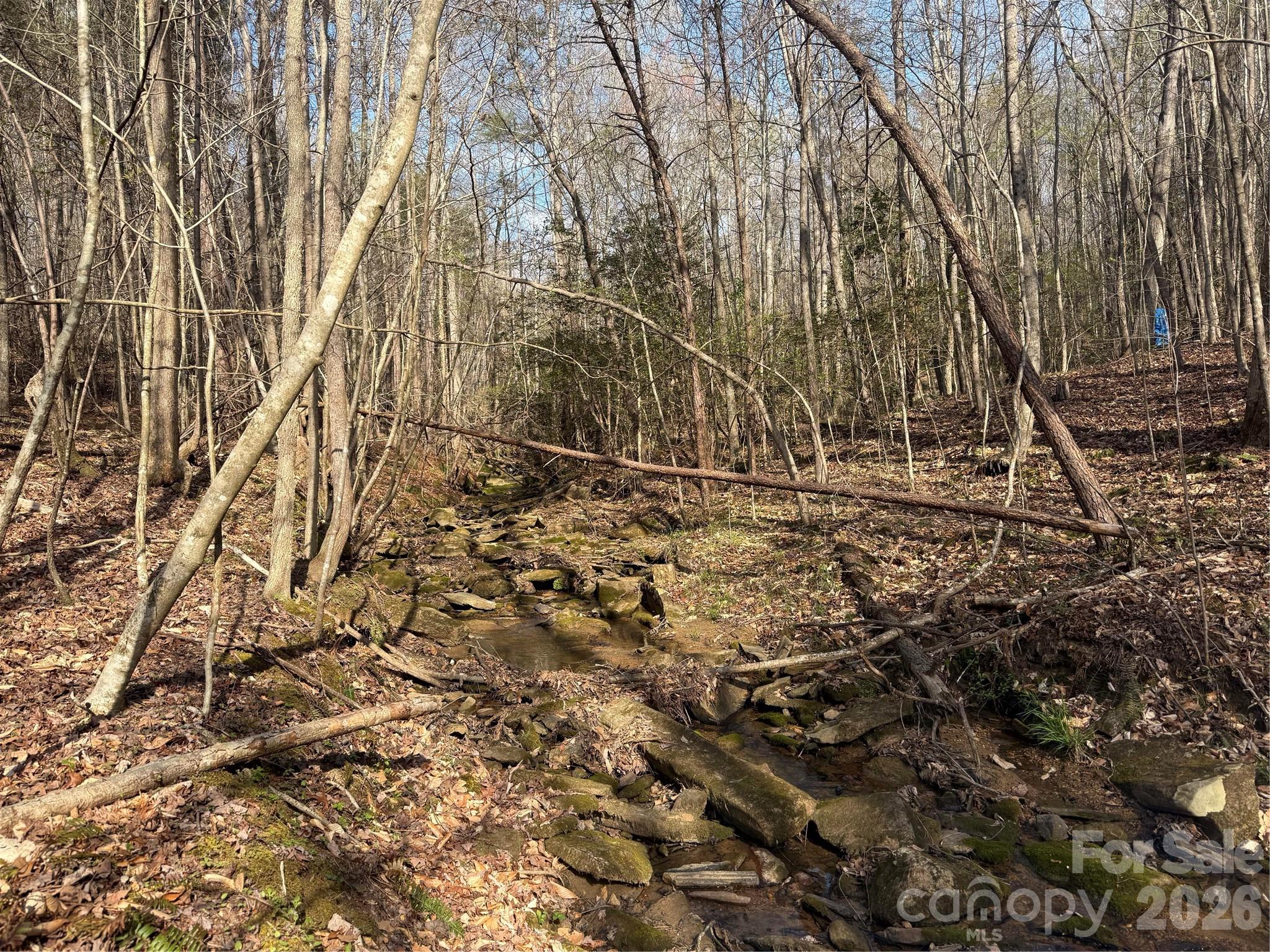 1164 Robert C Kellam Road Property Photo 20