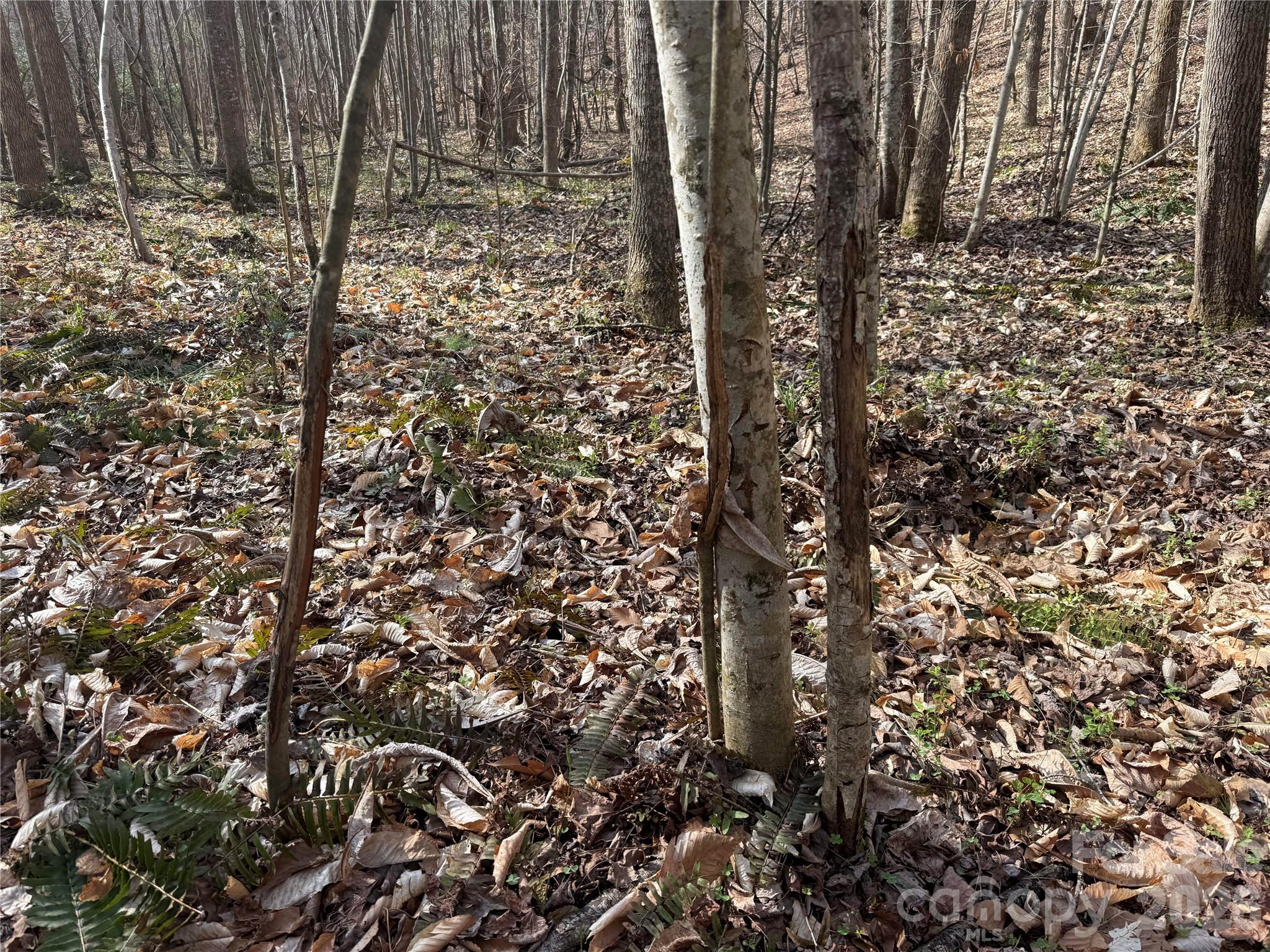 1164 Robert C Kellam Road Property Photo 22
