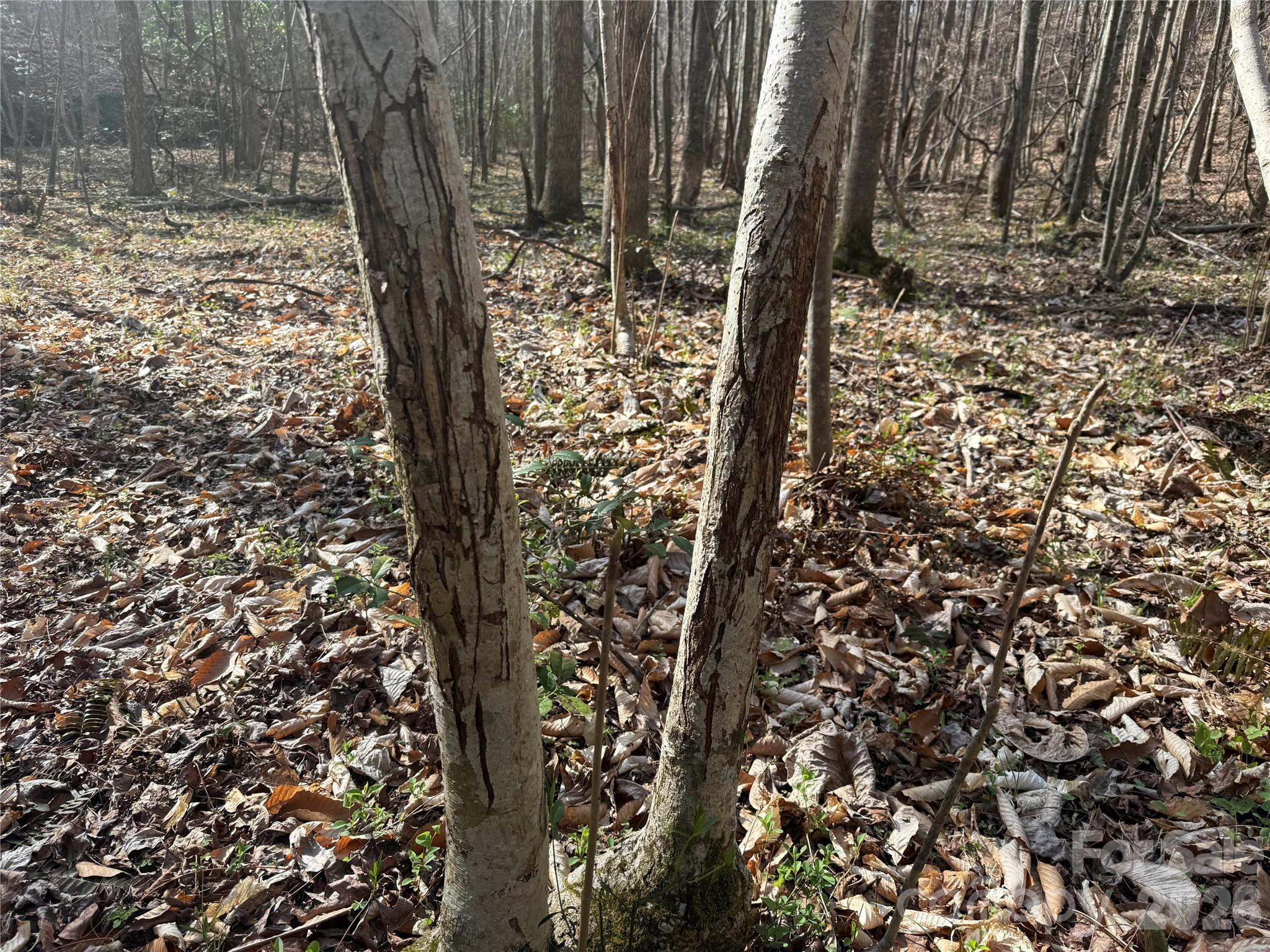 1164 Robert C Kellam Road Property Photo 23