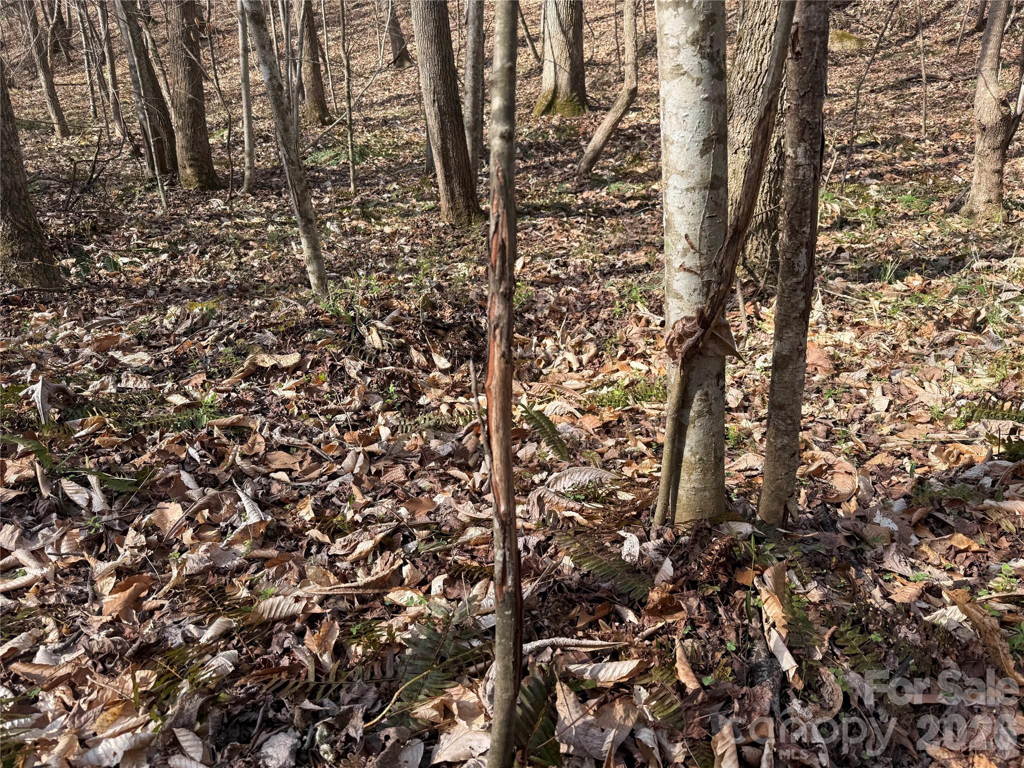 1164 Robert C Kellam Road Property Photo 24