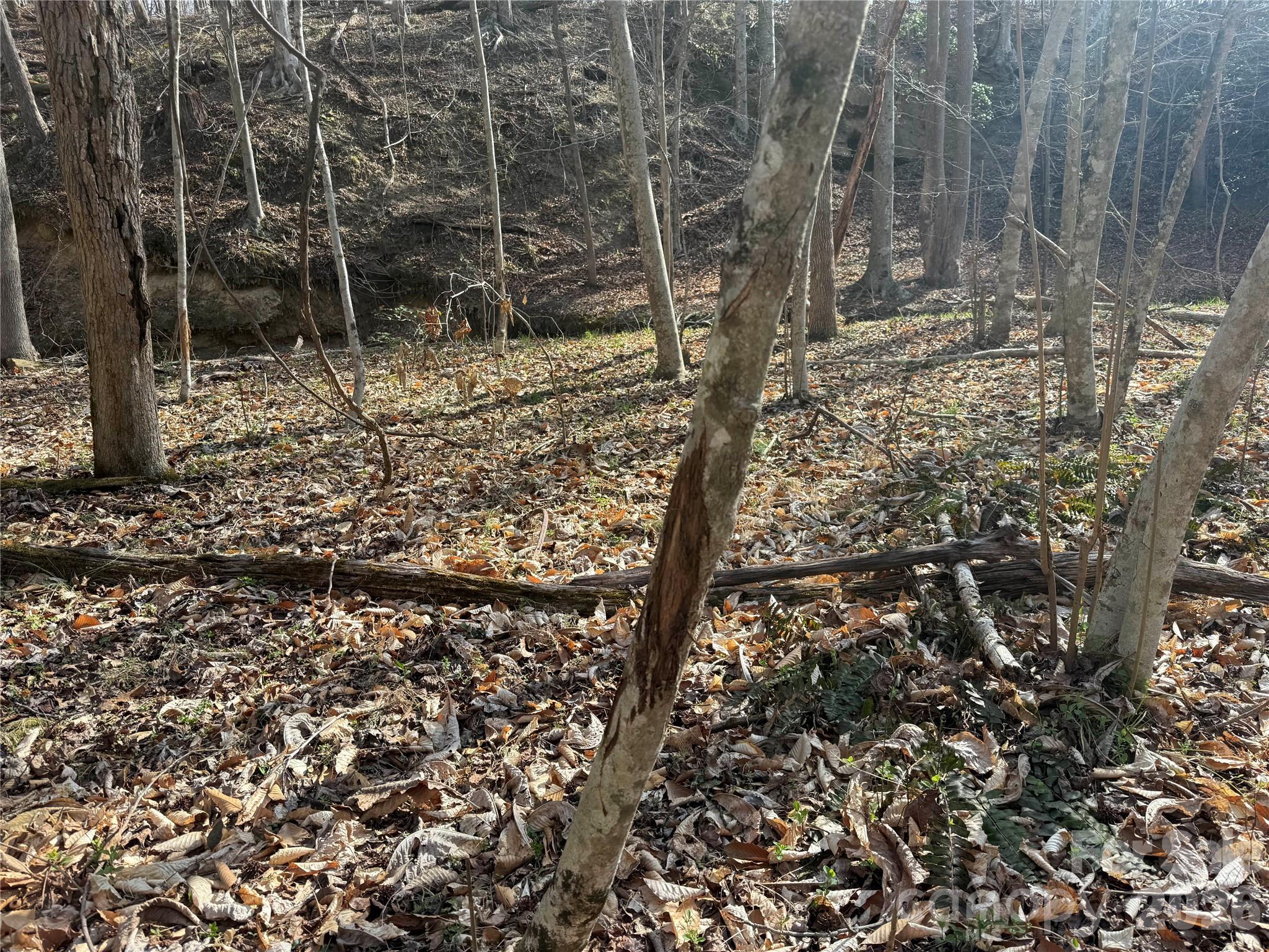 1164 Robert C Kellam Road Property Photo 25