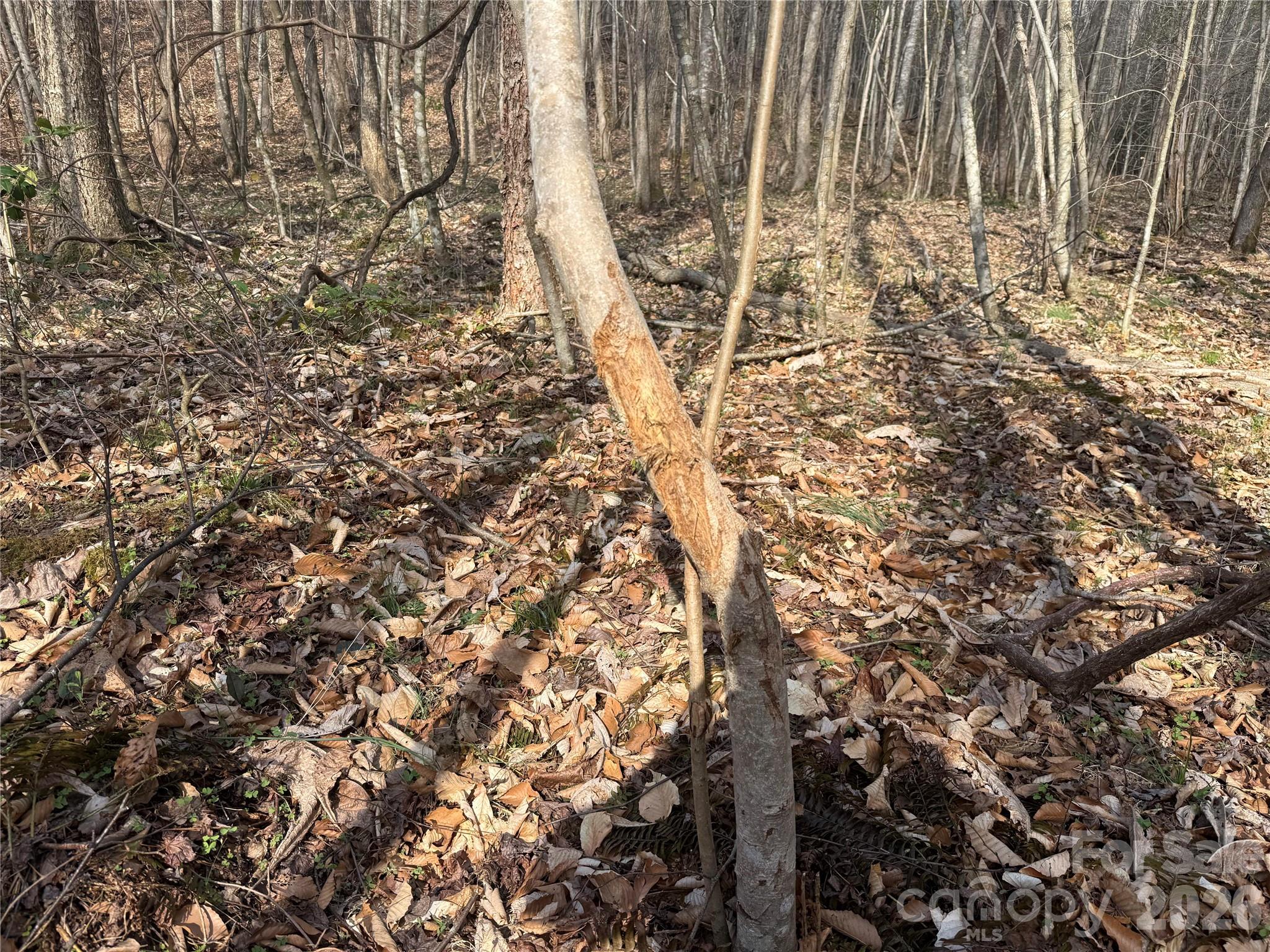 1164 Robert C Kellam Road Property Photo 28