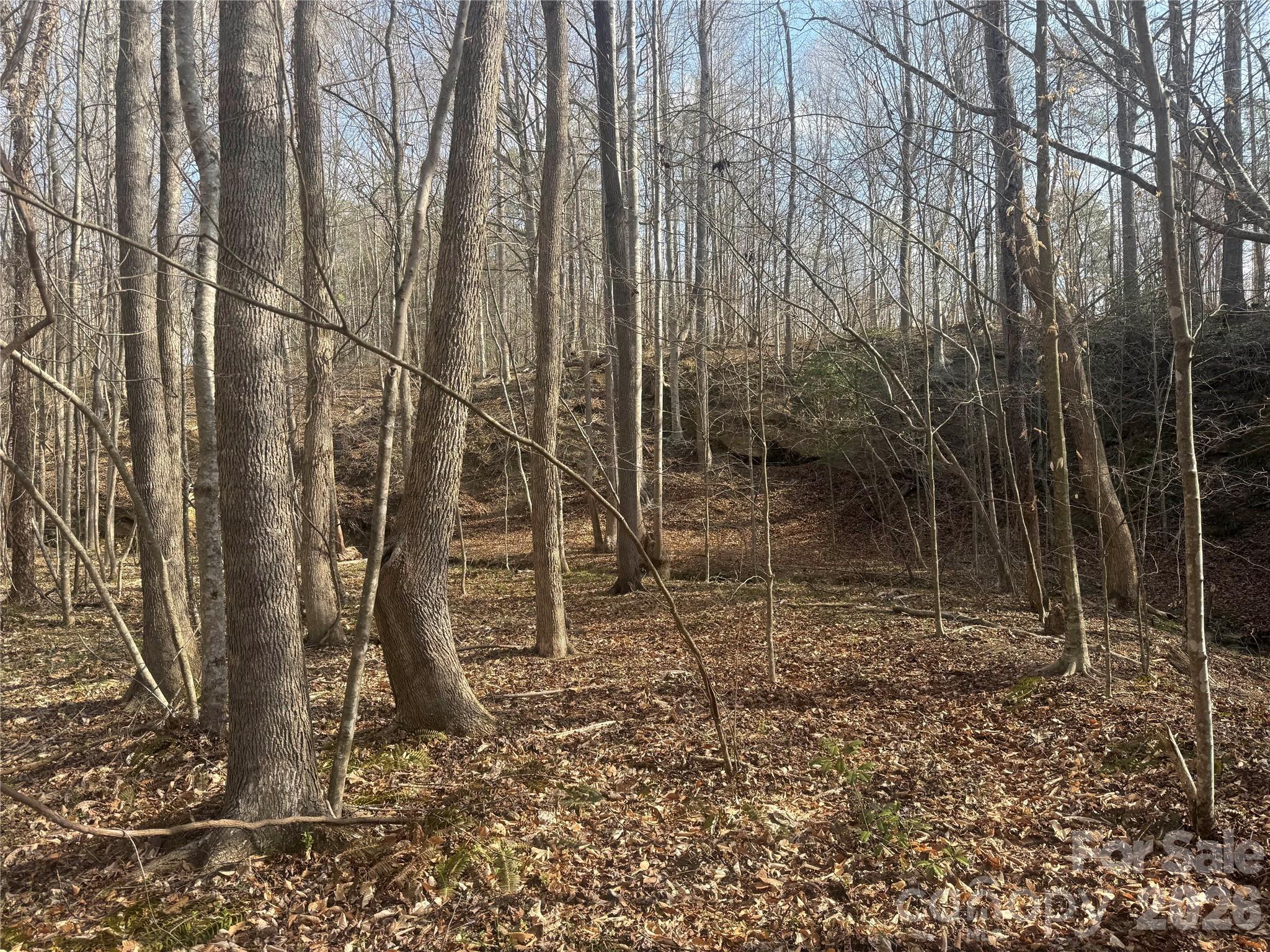 1164 Robert C Kellam Road Property Photo 32