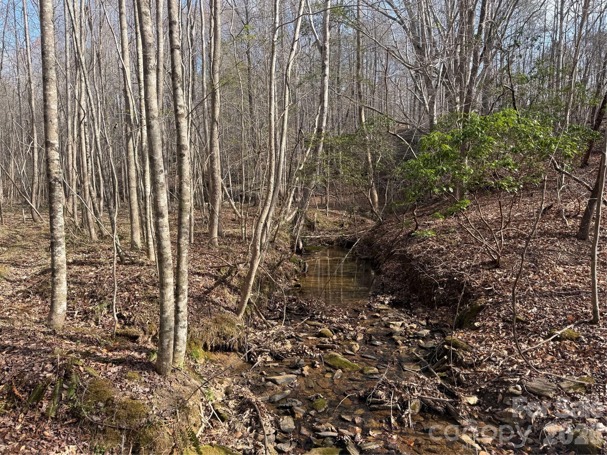 1164 Robert C Kellam Road Property Photo 33