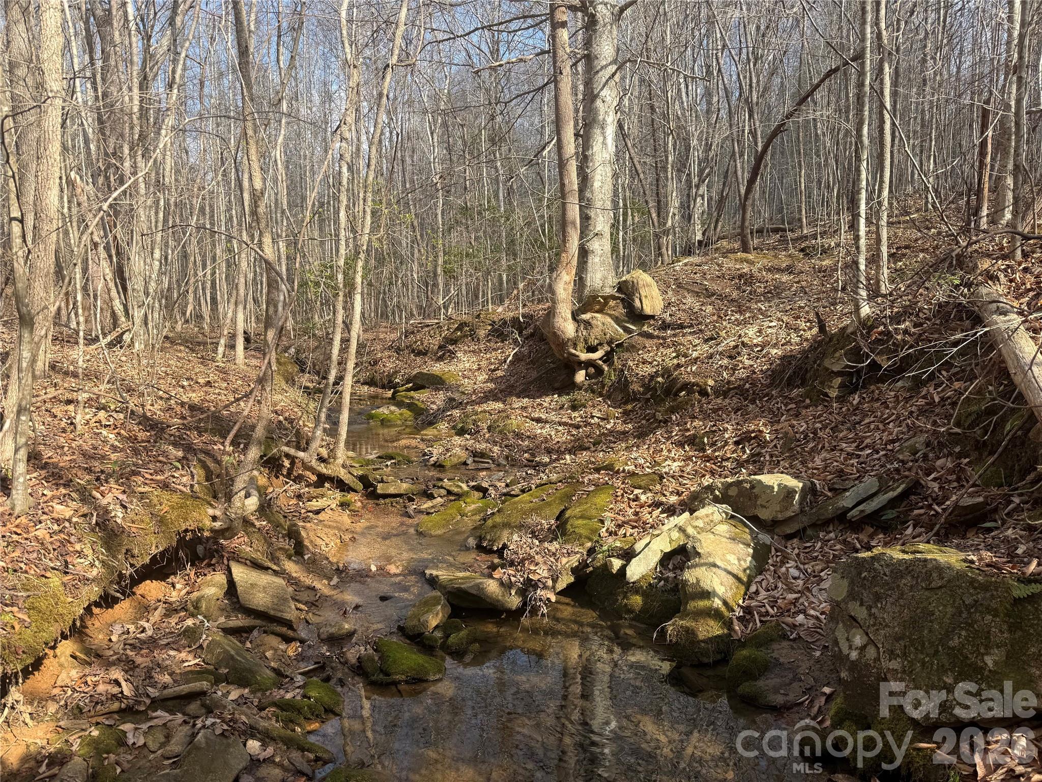 1164 Robert C Kellam Road Property Photo 34