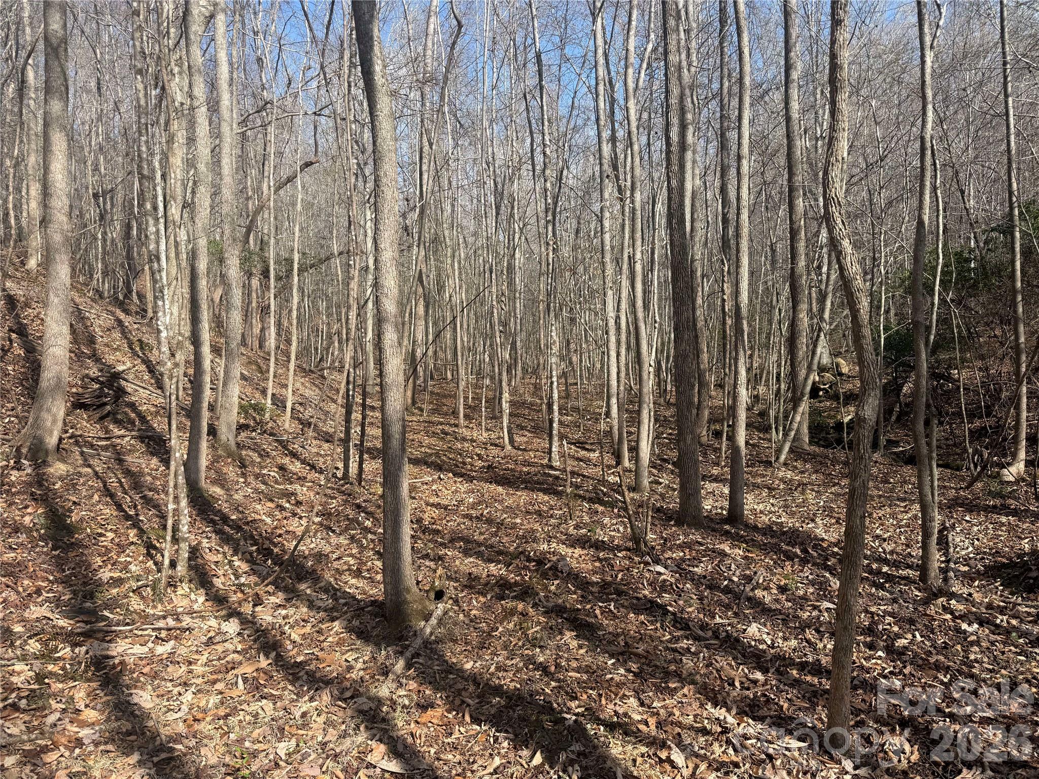 1164 Robert C Kellam Road Property Photo 35