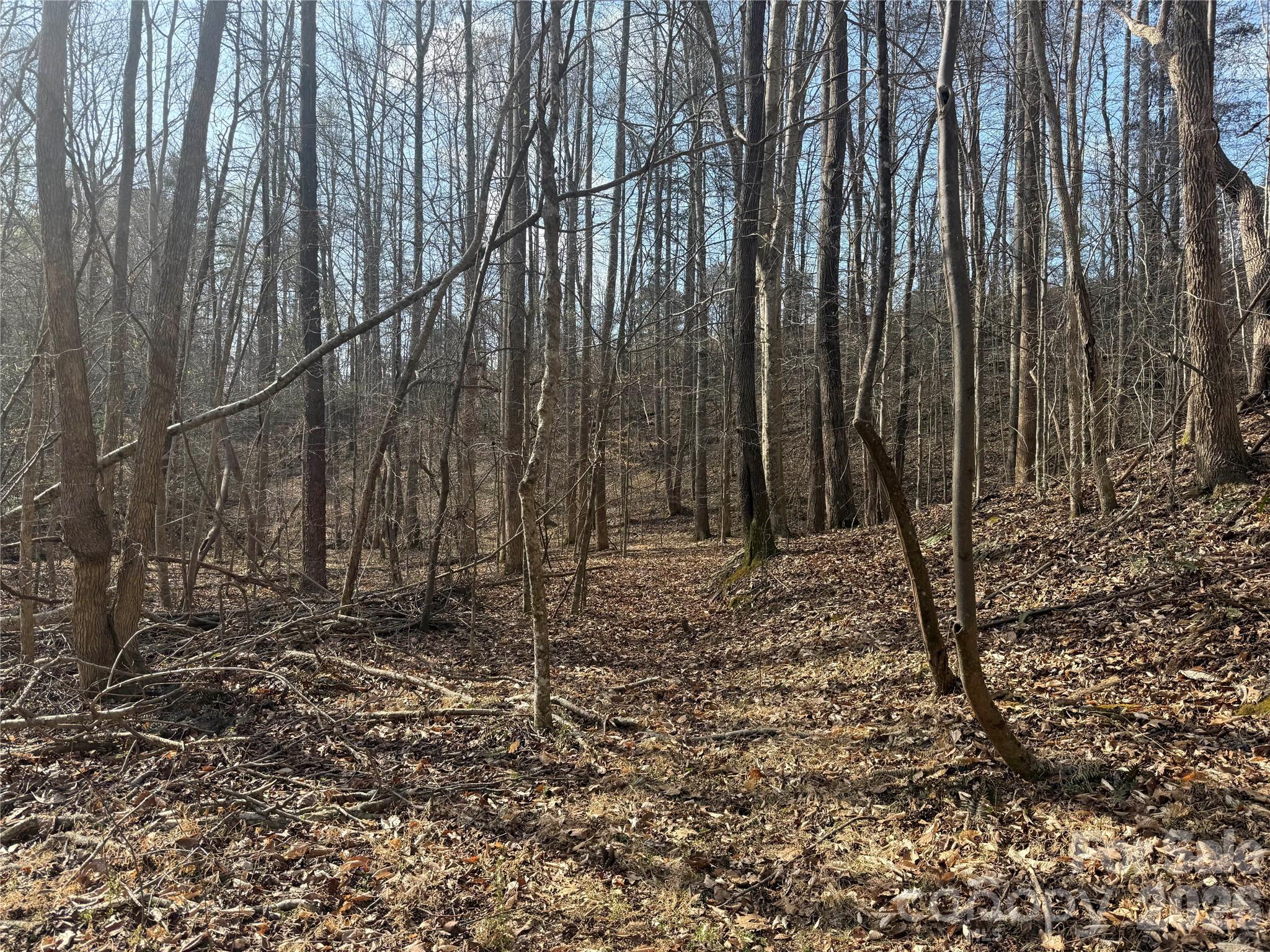 1164 Robert C Kellam Road Property Photo 36