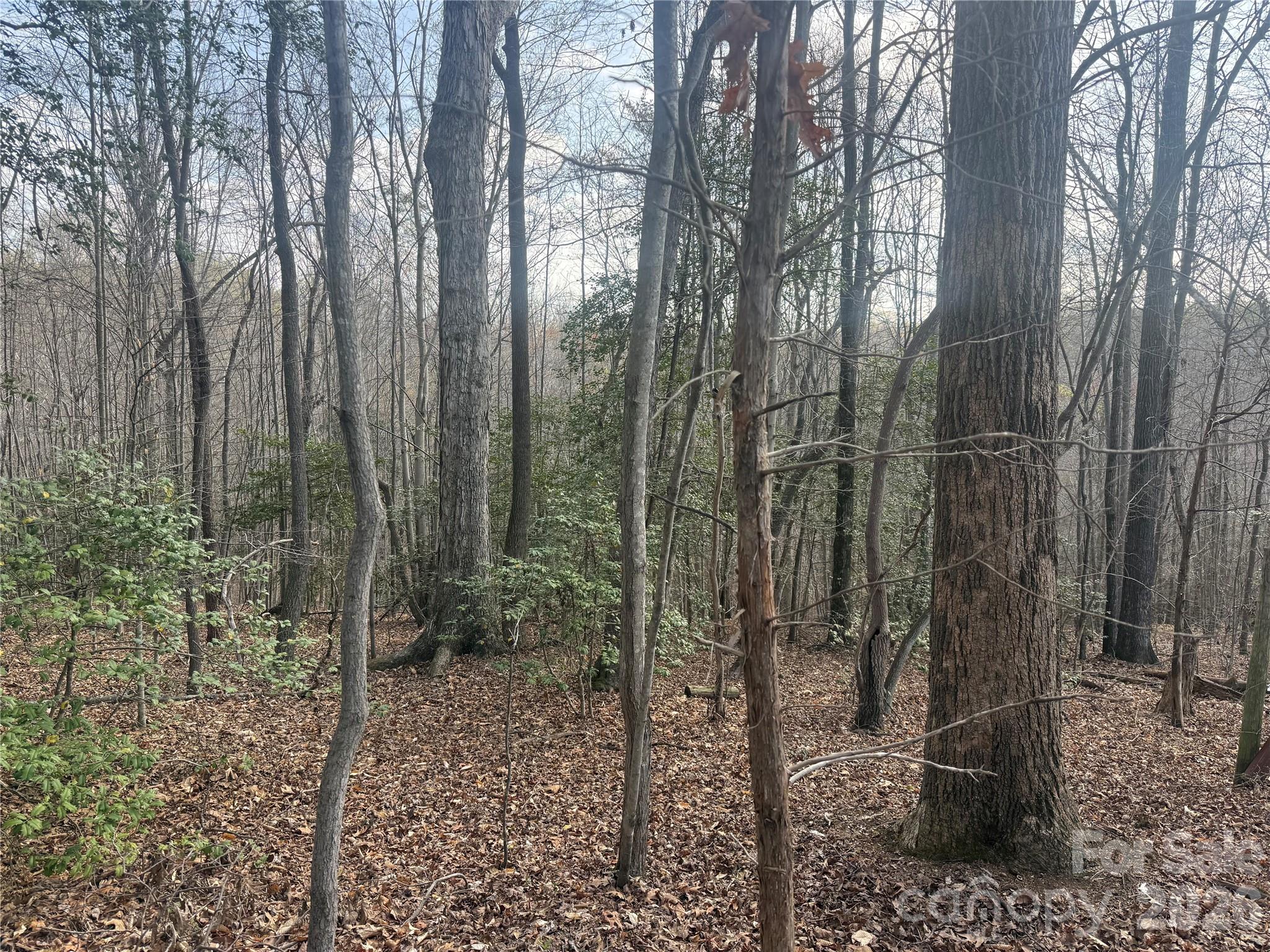 1164 Robert C Kellam Road Property Photo 41
