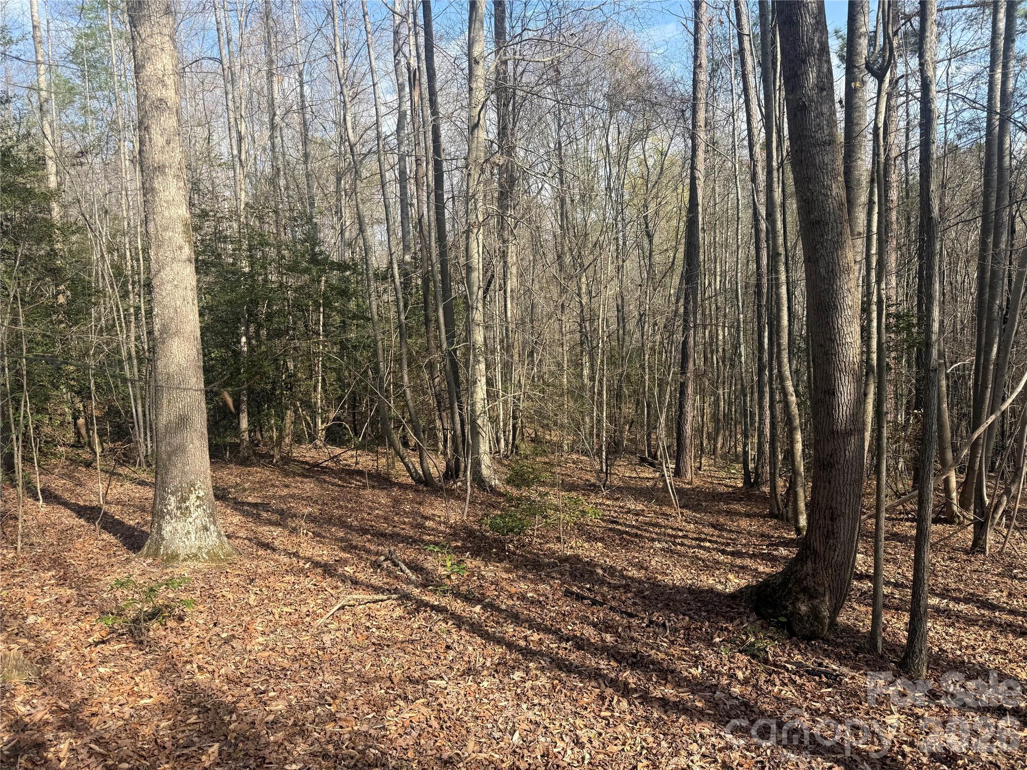 1164 Robert C Kellam Road Property Photo 42