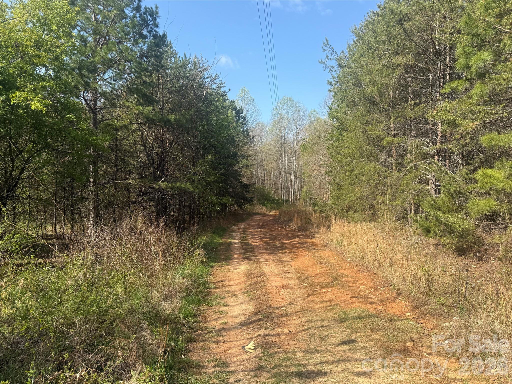 1164 Robert C Kellam Road Property Photo 48