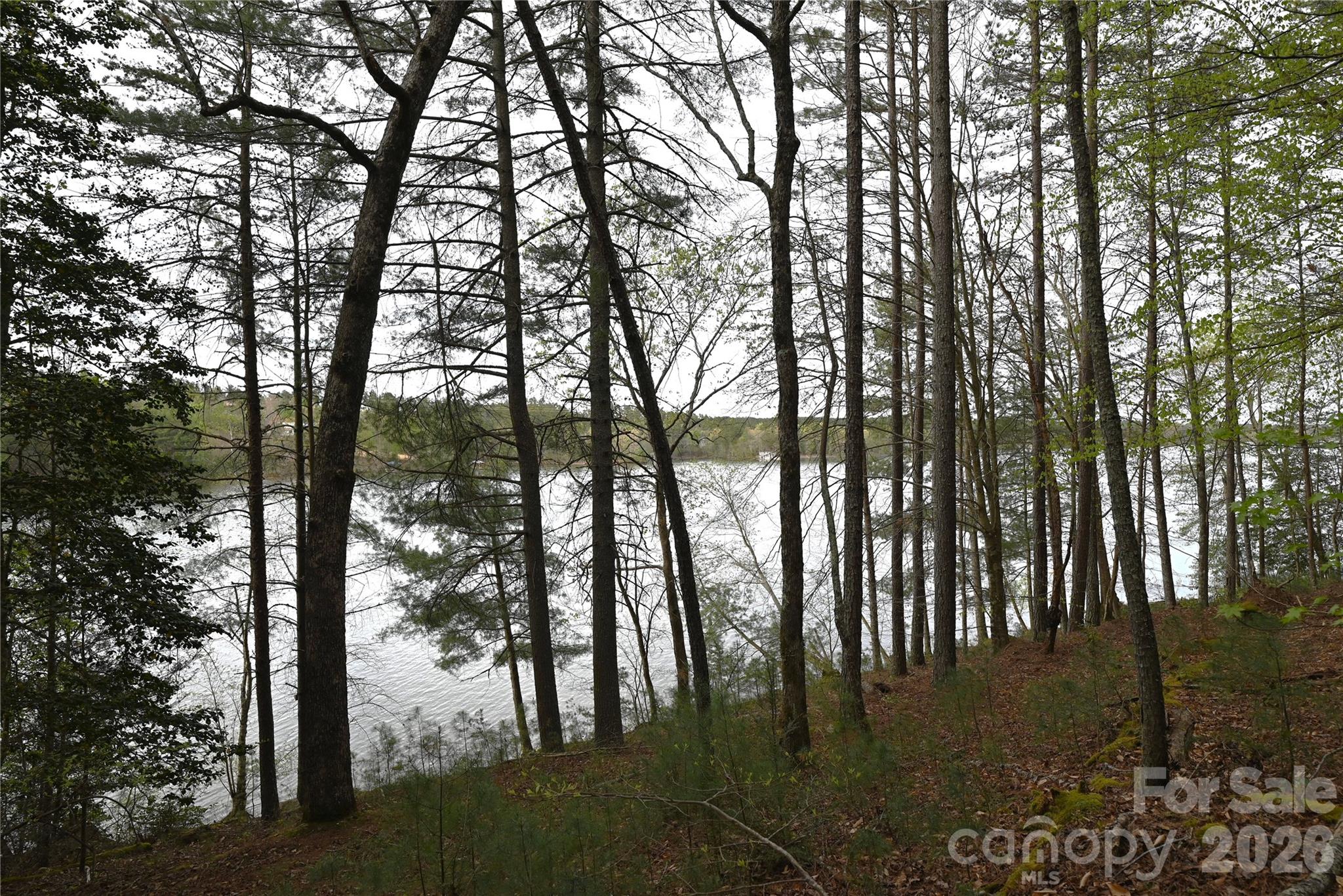 2299 Lighthouse Lane 76 Property Photo 2