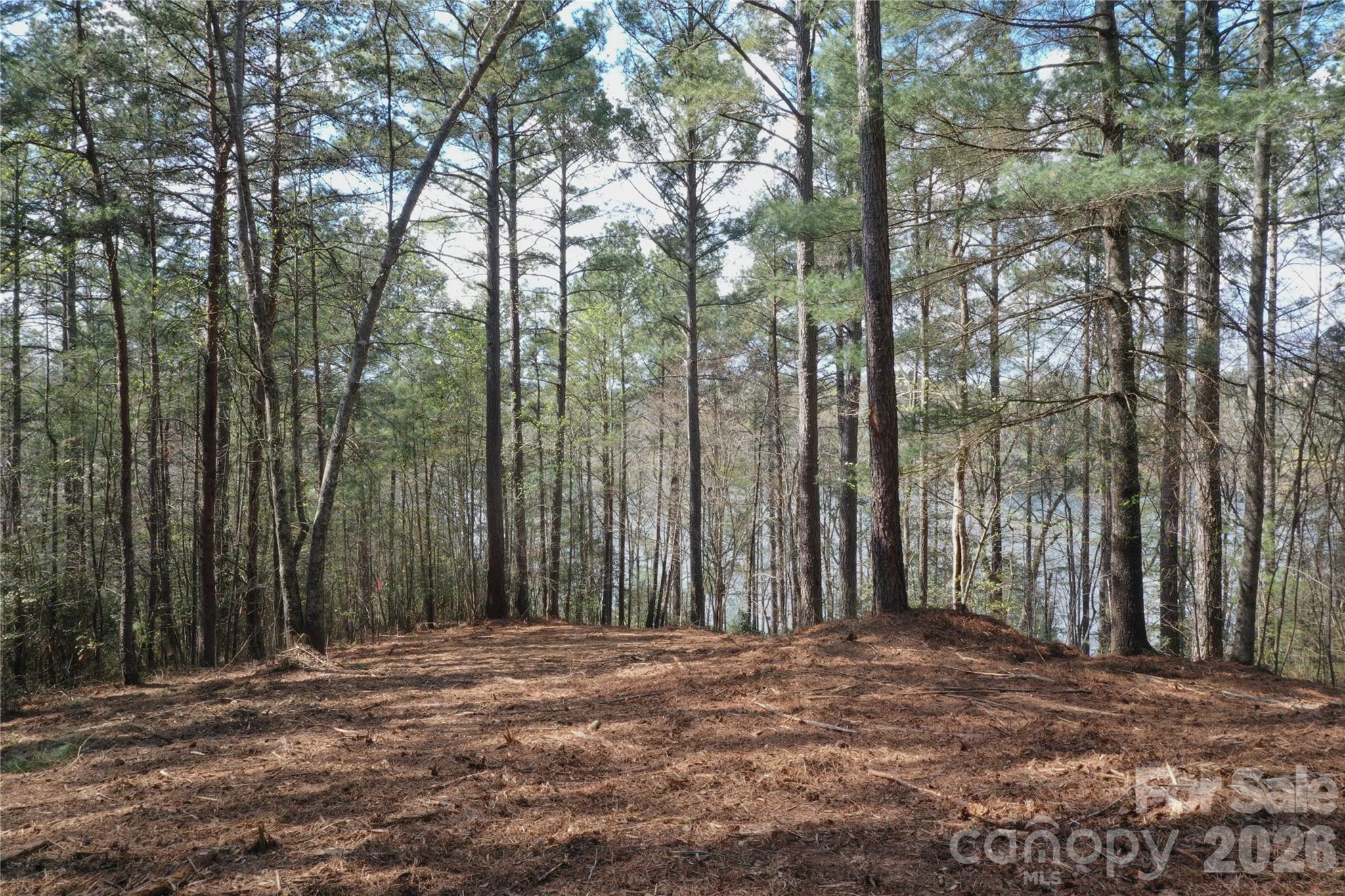 2299 Lighthouse Lane 76 Property Photo 4