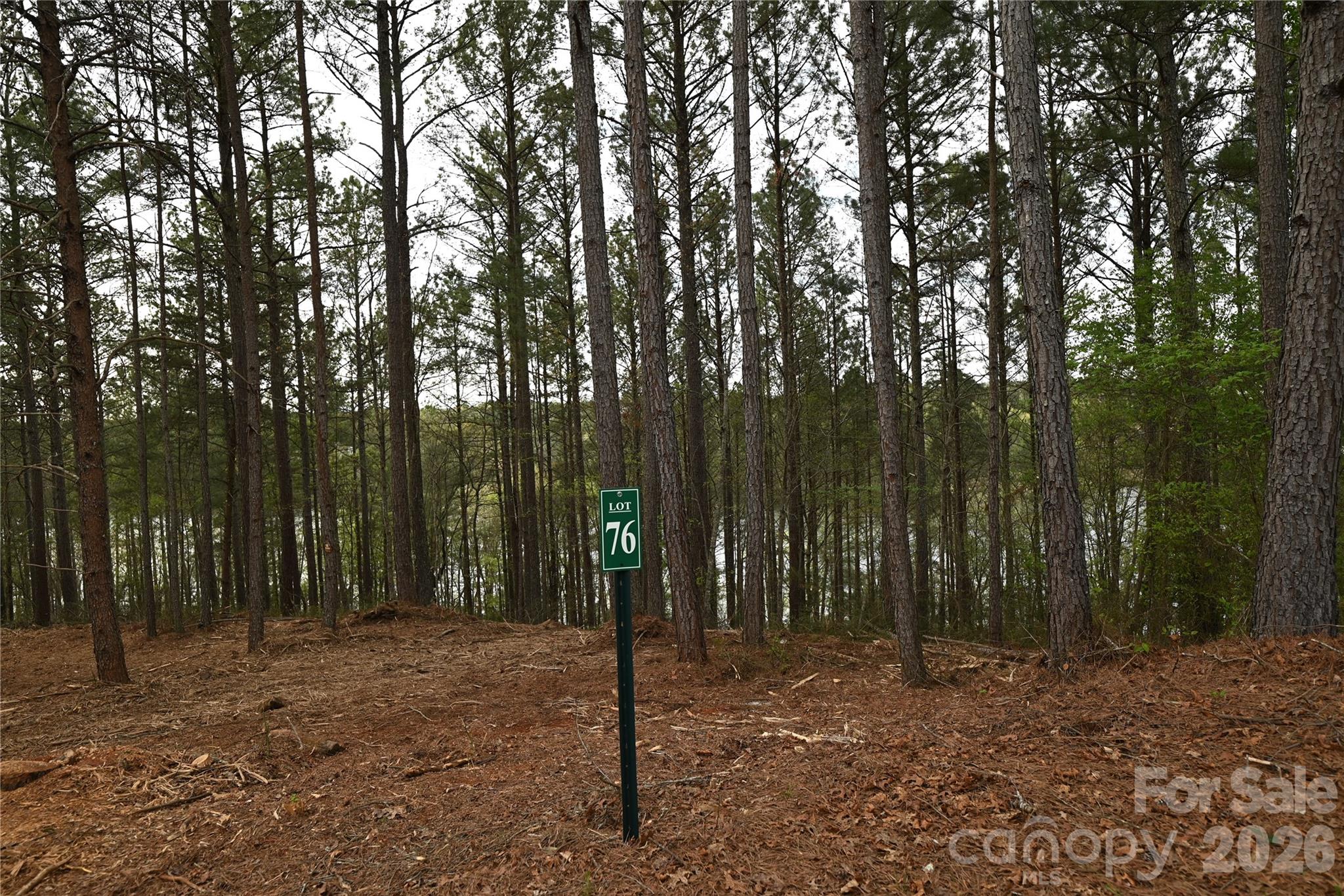 2299 Lighthouse Lane 76 Property Photo 24