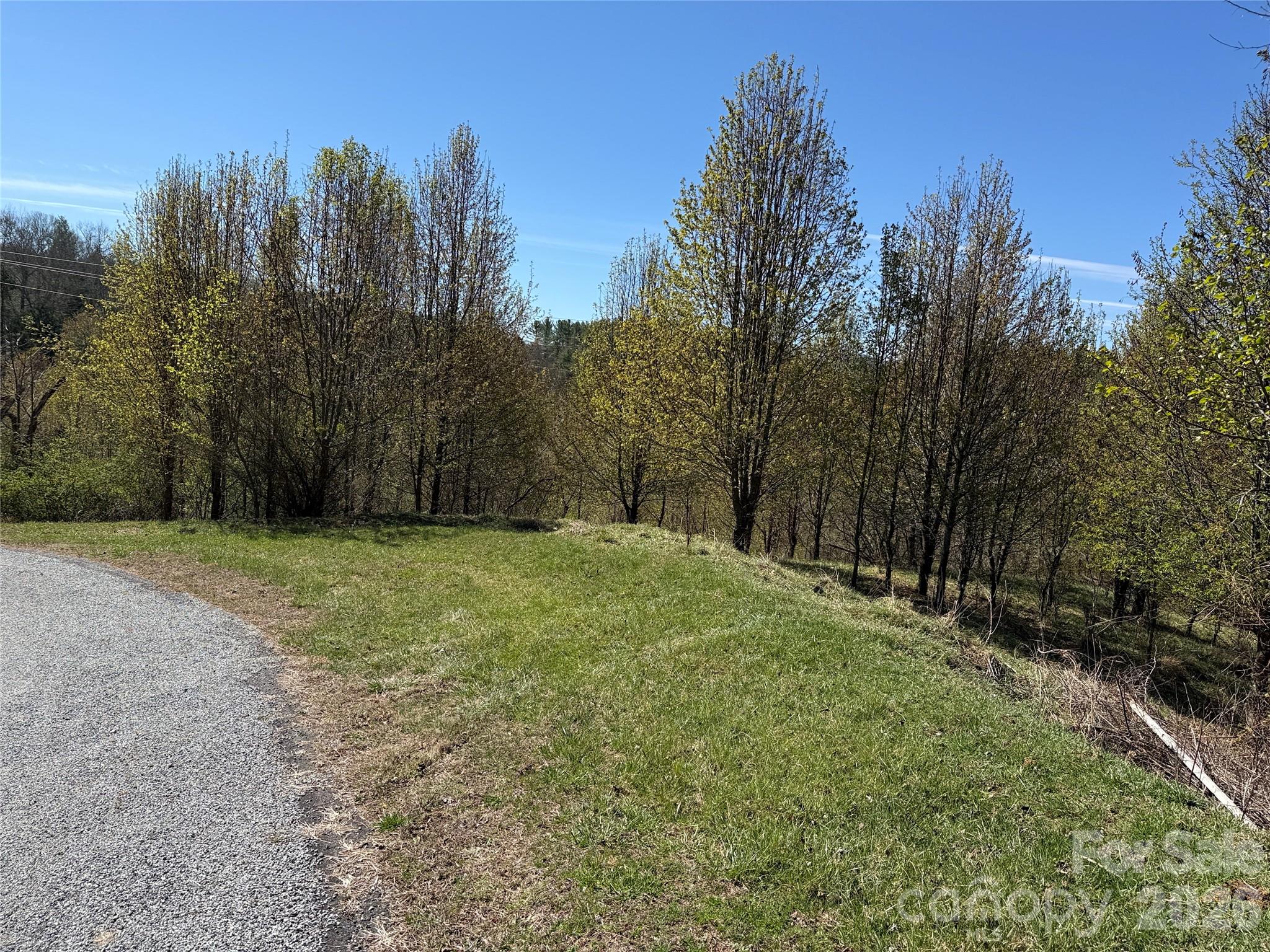 Tbd (lot 21 & 22) Martha Lane 21 & 22 Property Photo 3