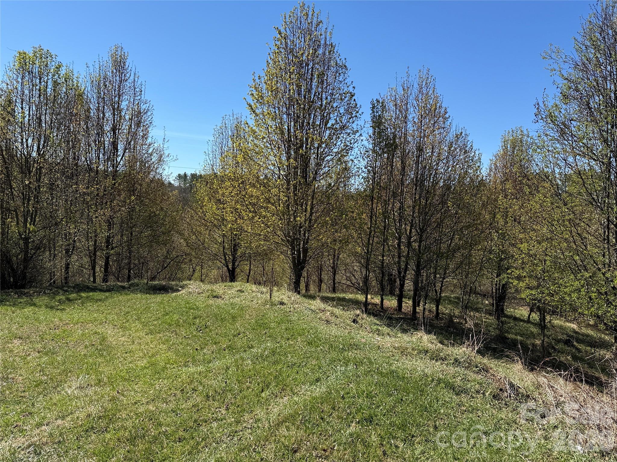 Tbd (lot 21 & 22) Martha Lane 21 & 22 Property Photo 4