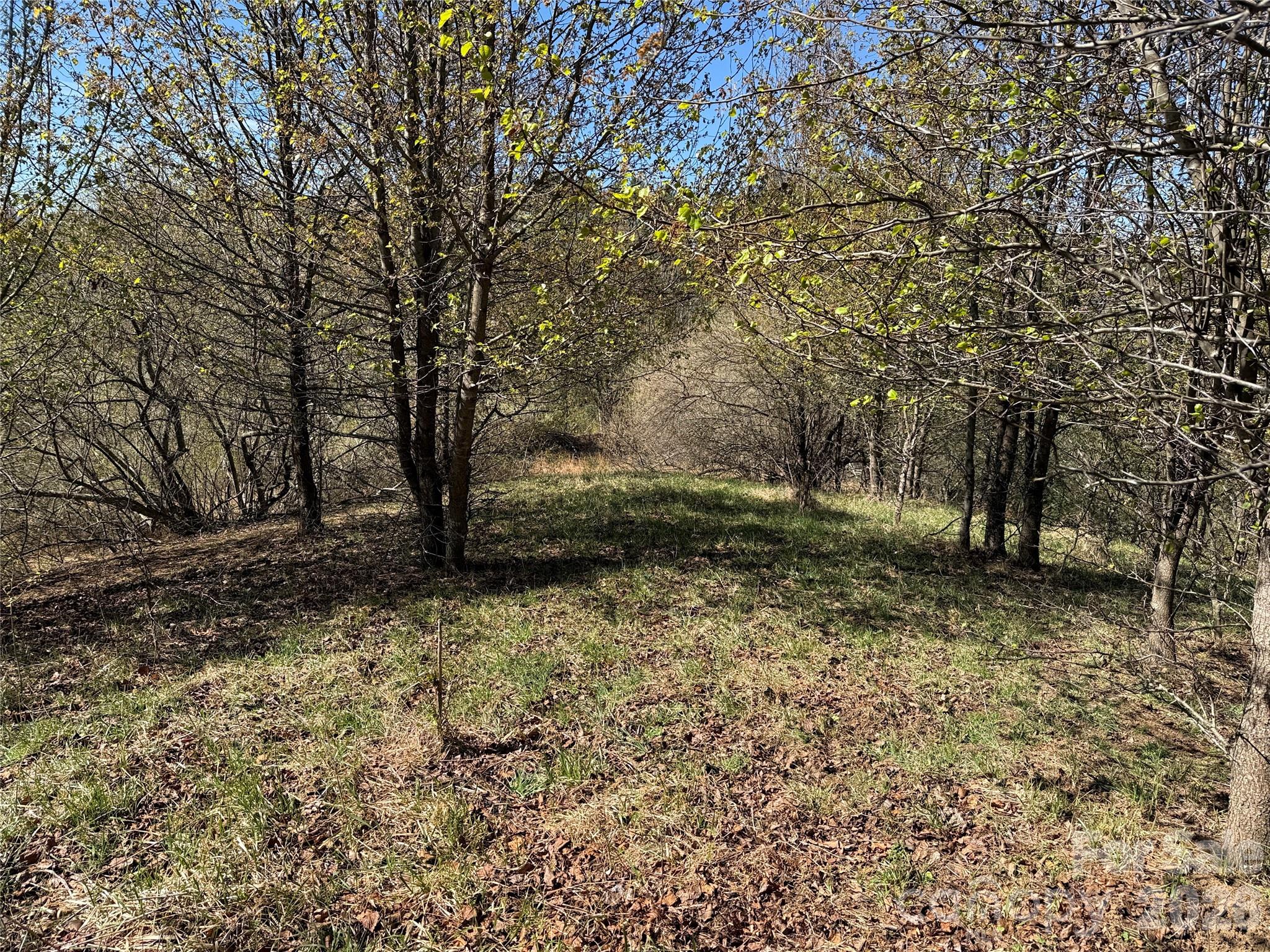 Tbd (lot 21 & 22) Martha Lane 21 & 22 Property Photo 6