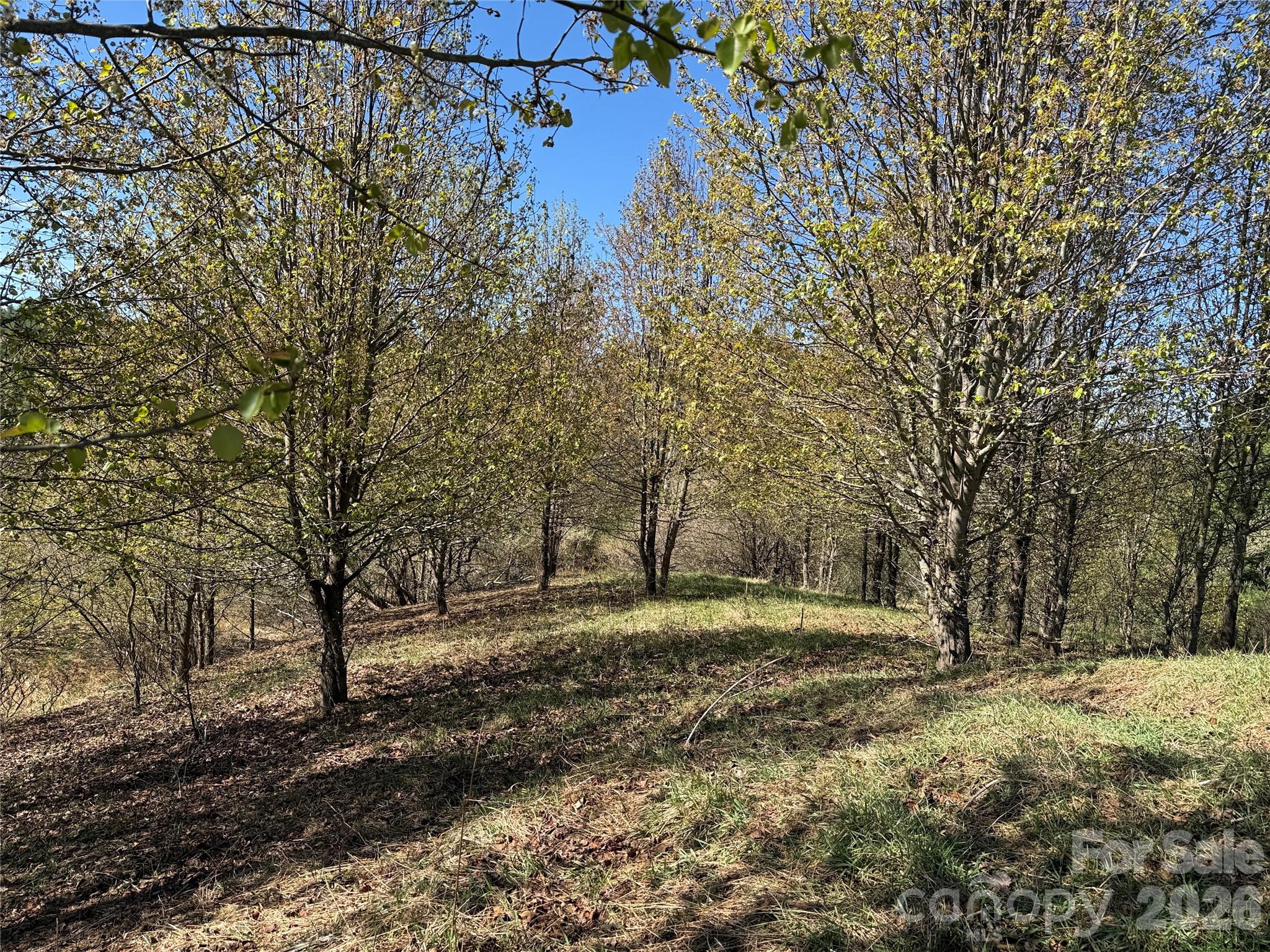 Tbd (lot 21 & 22) Martha Lane 21 & 22 Property Photo 8