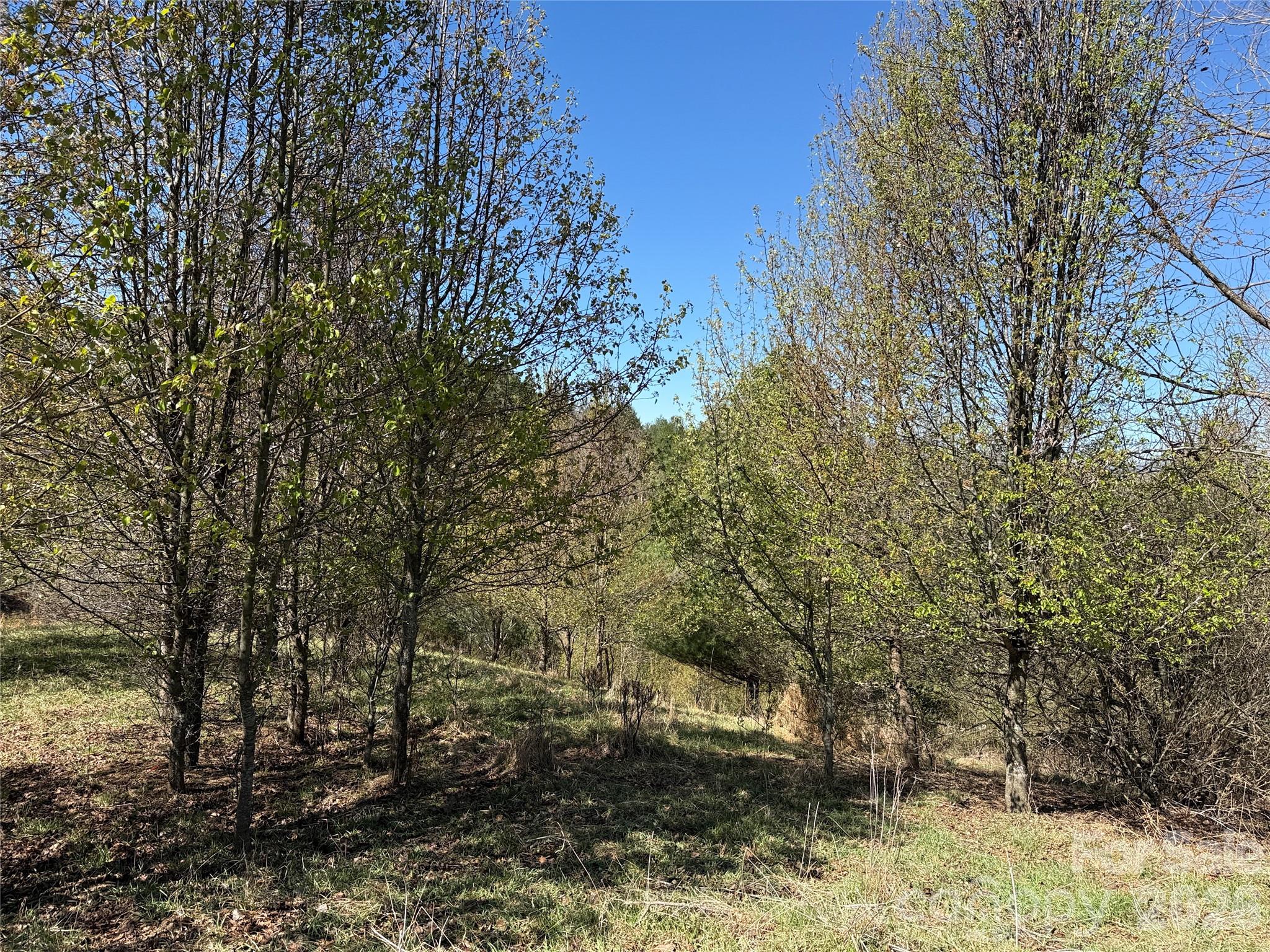 Tbd (lot 21 & 22) Martha Lane 21 & 22 Property Photo 9