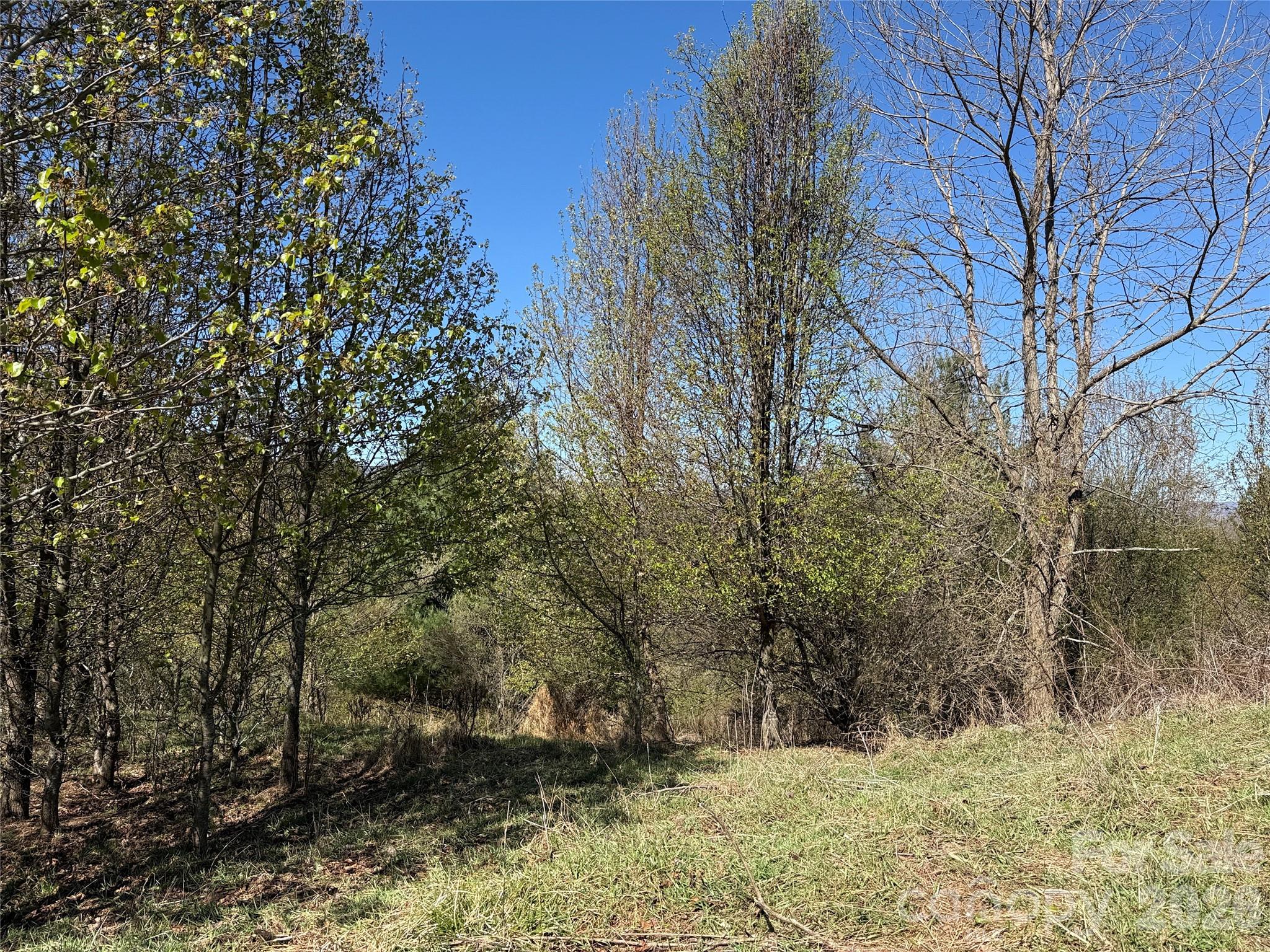 Tbd (lot 21 & 22) Martha Lane 21 & 22 Property Photo 10